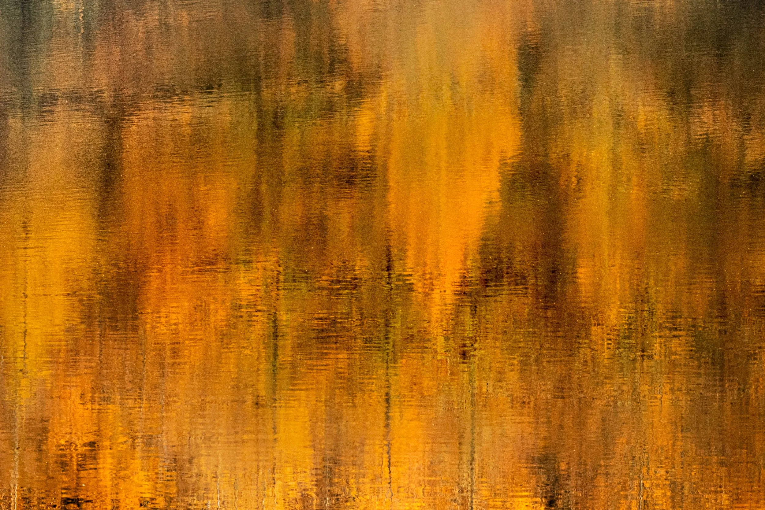 L1010481.jpg