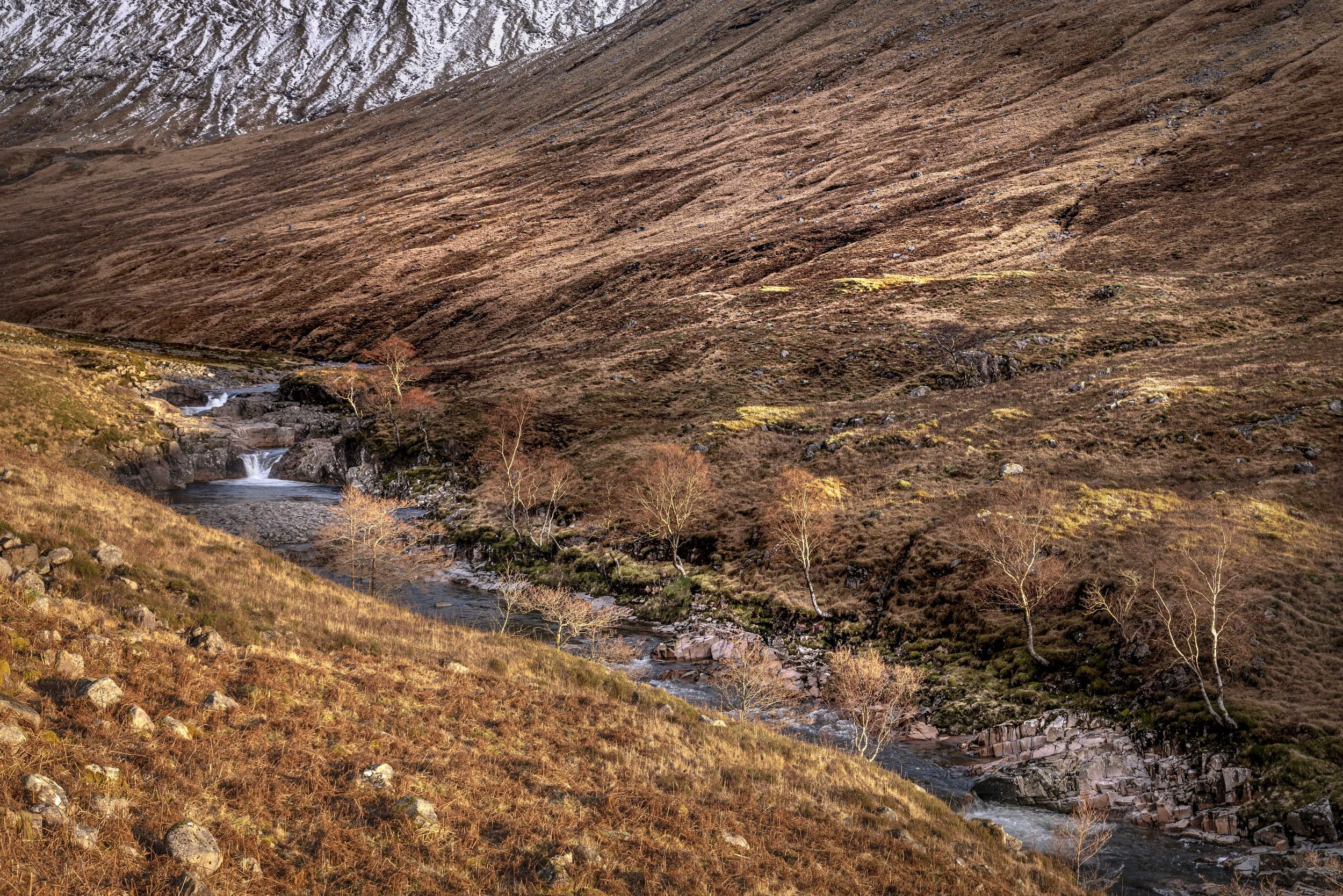 Winter VWH-1050702-2.jpg