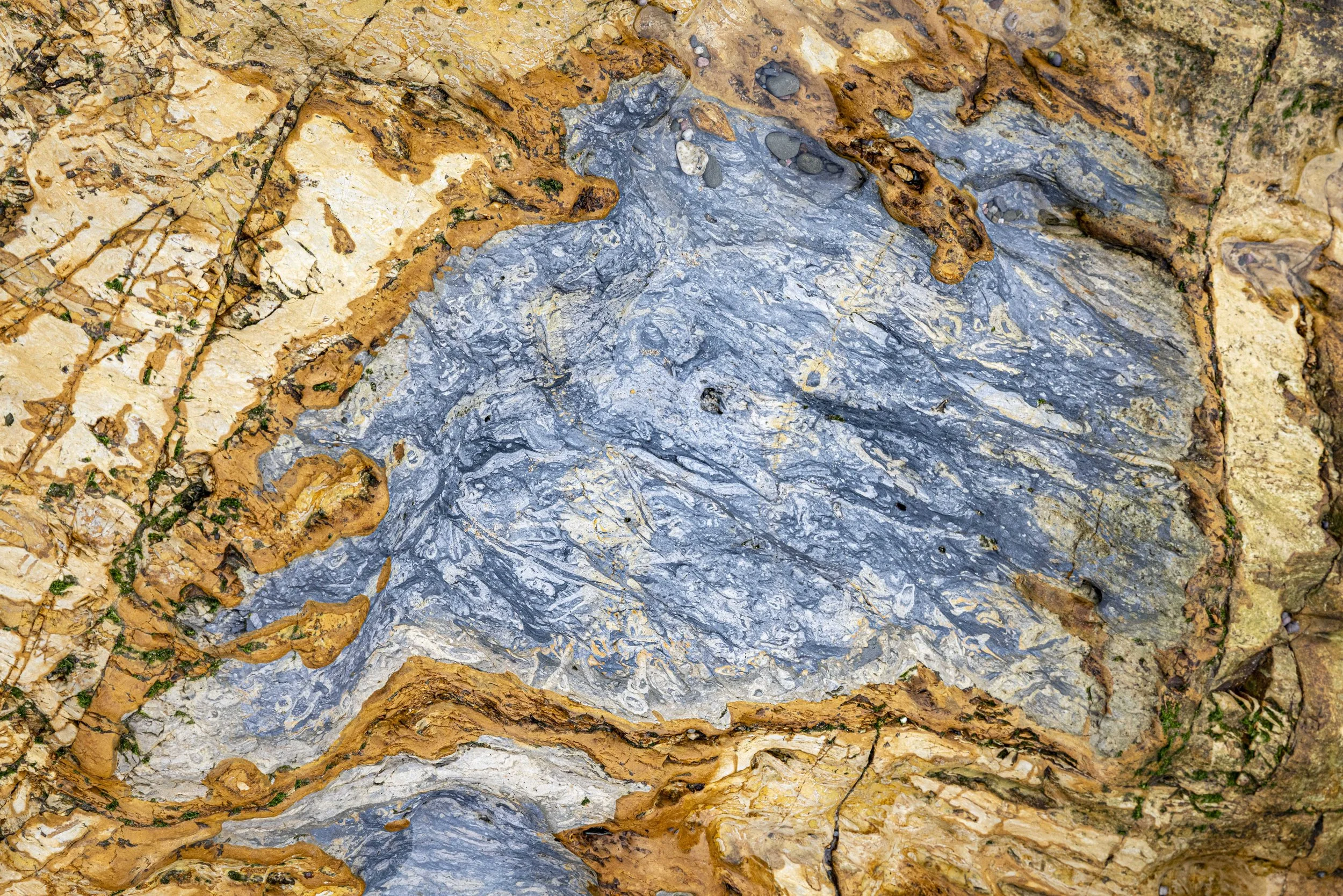 Winter VWH-1060408.jpg