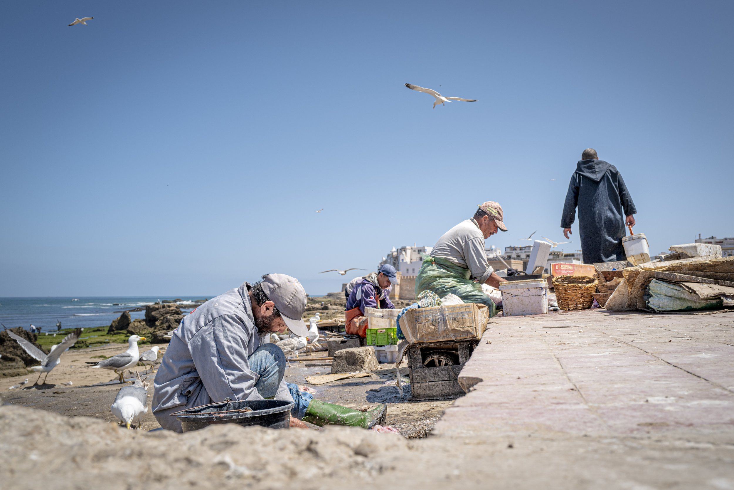 Preparing the catch