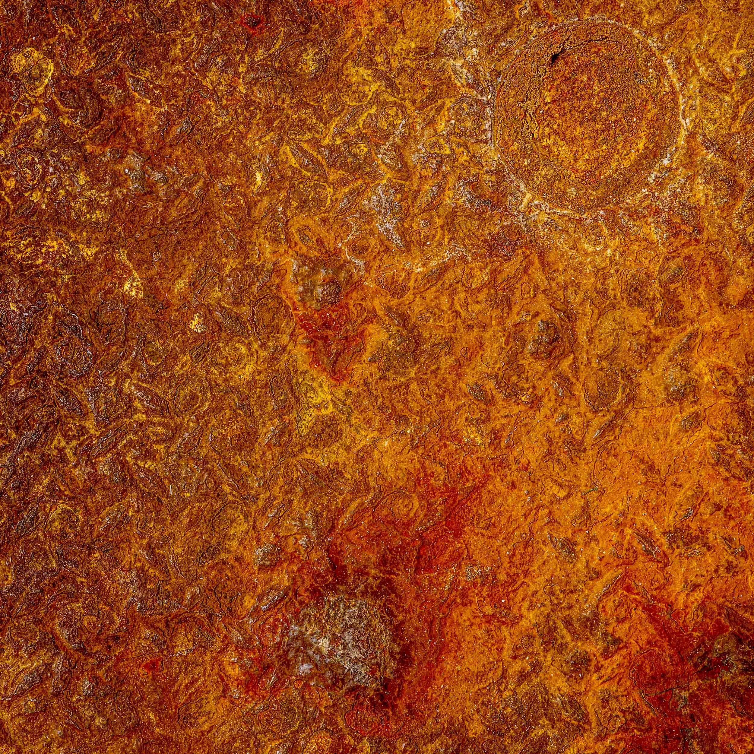 L1030977.jpg