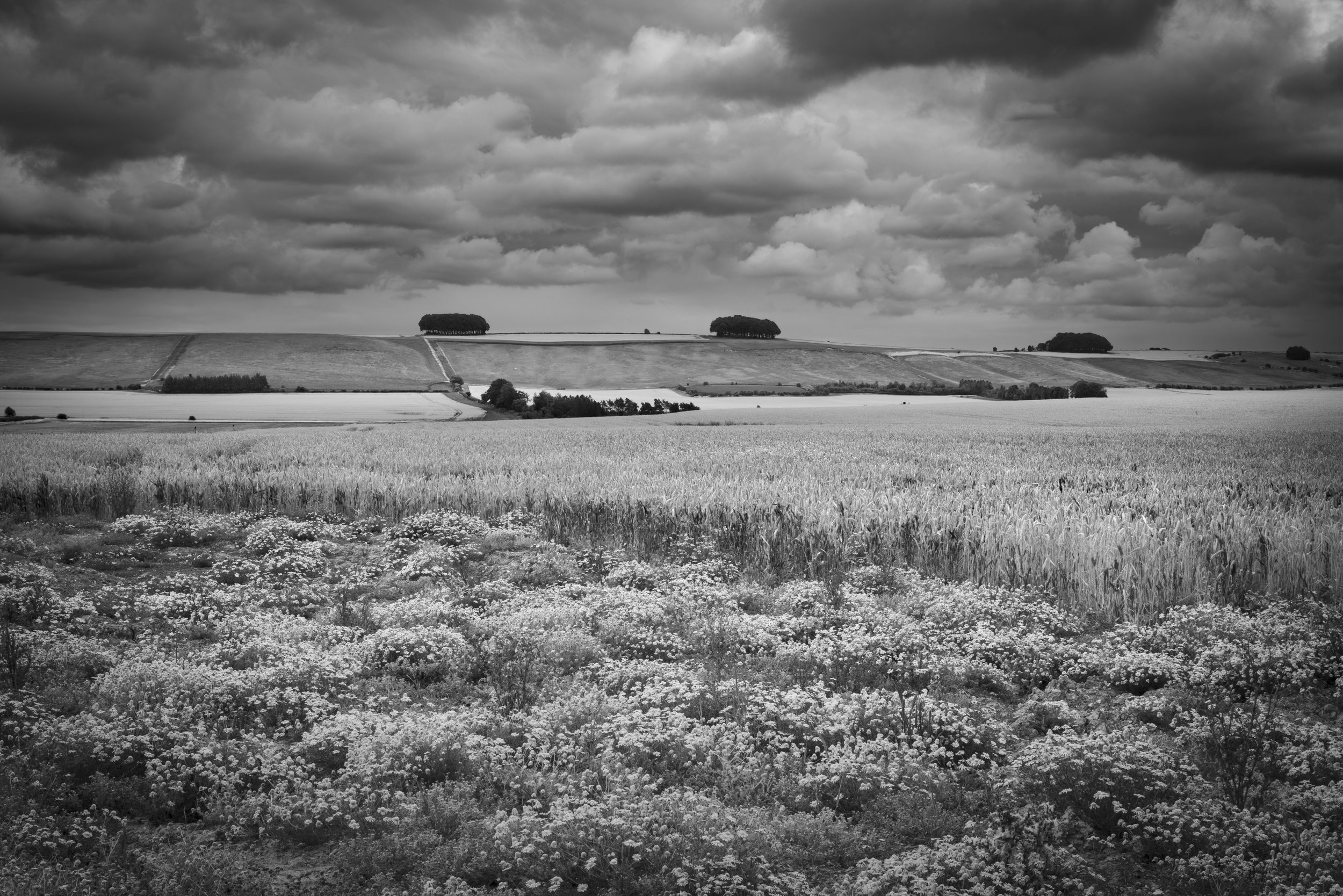 Winter VWH-1080439.jpg