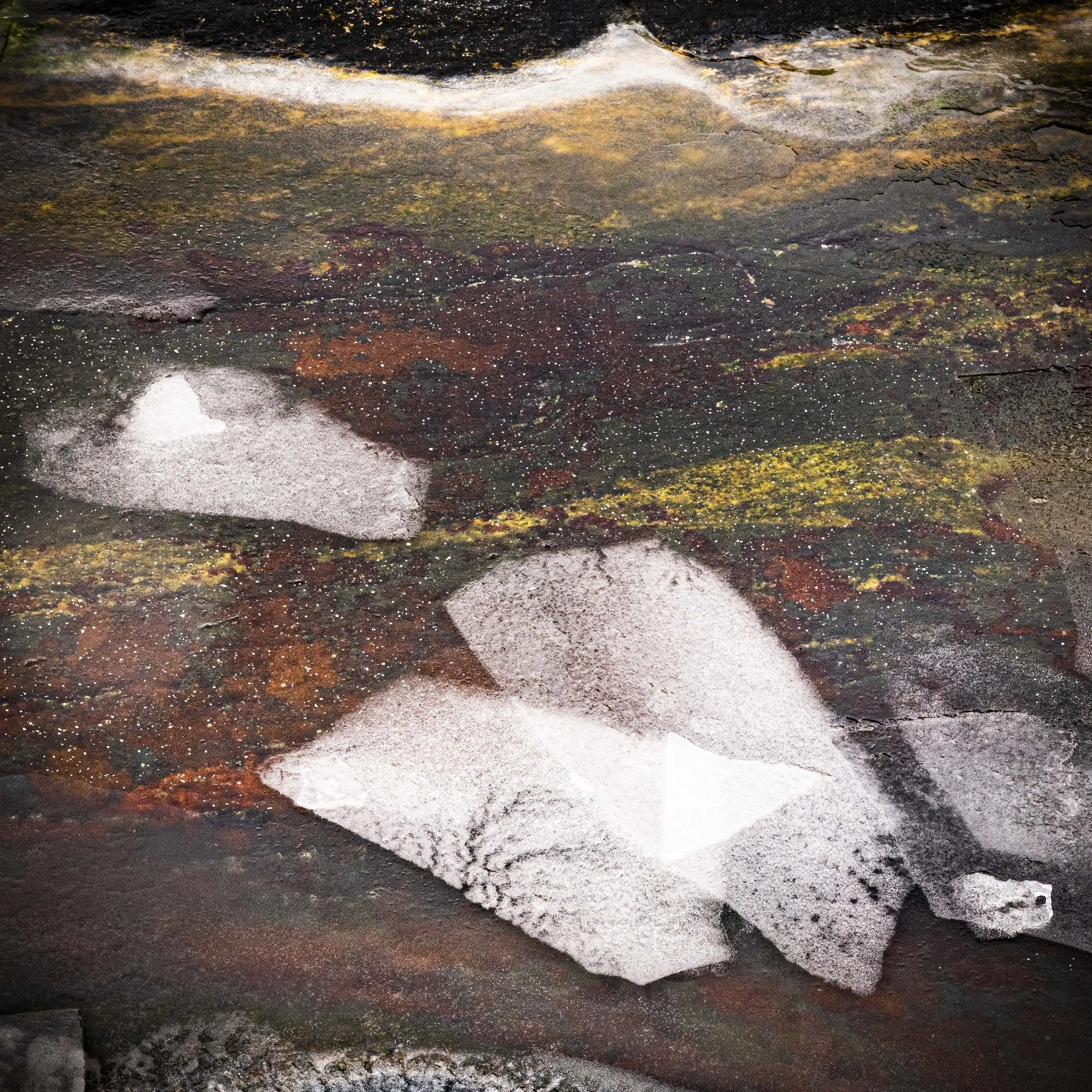 Patterns of Nature