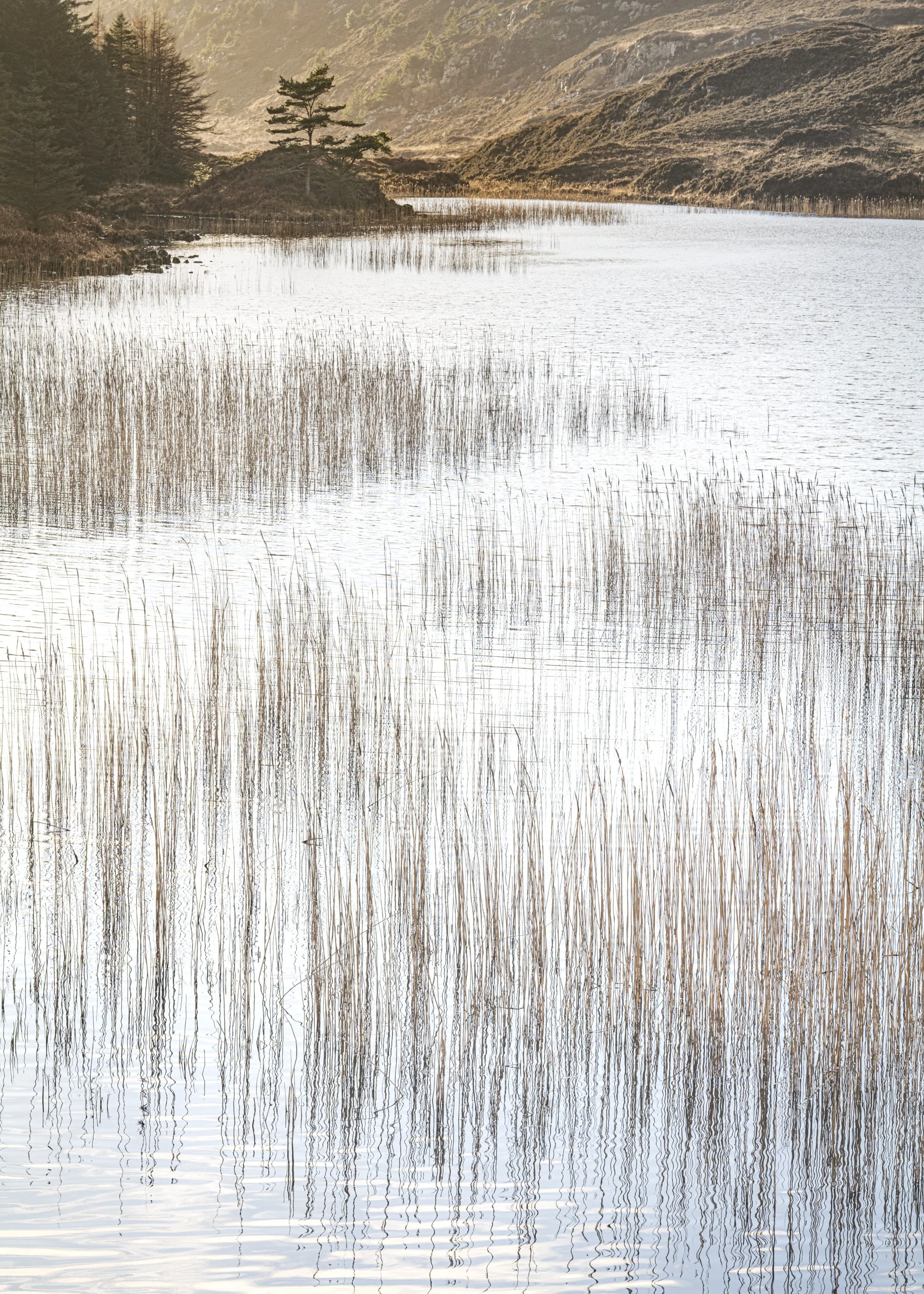 L1030392.jpg