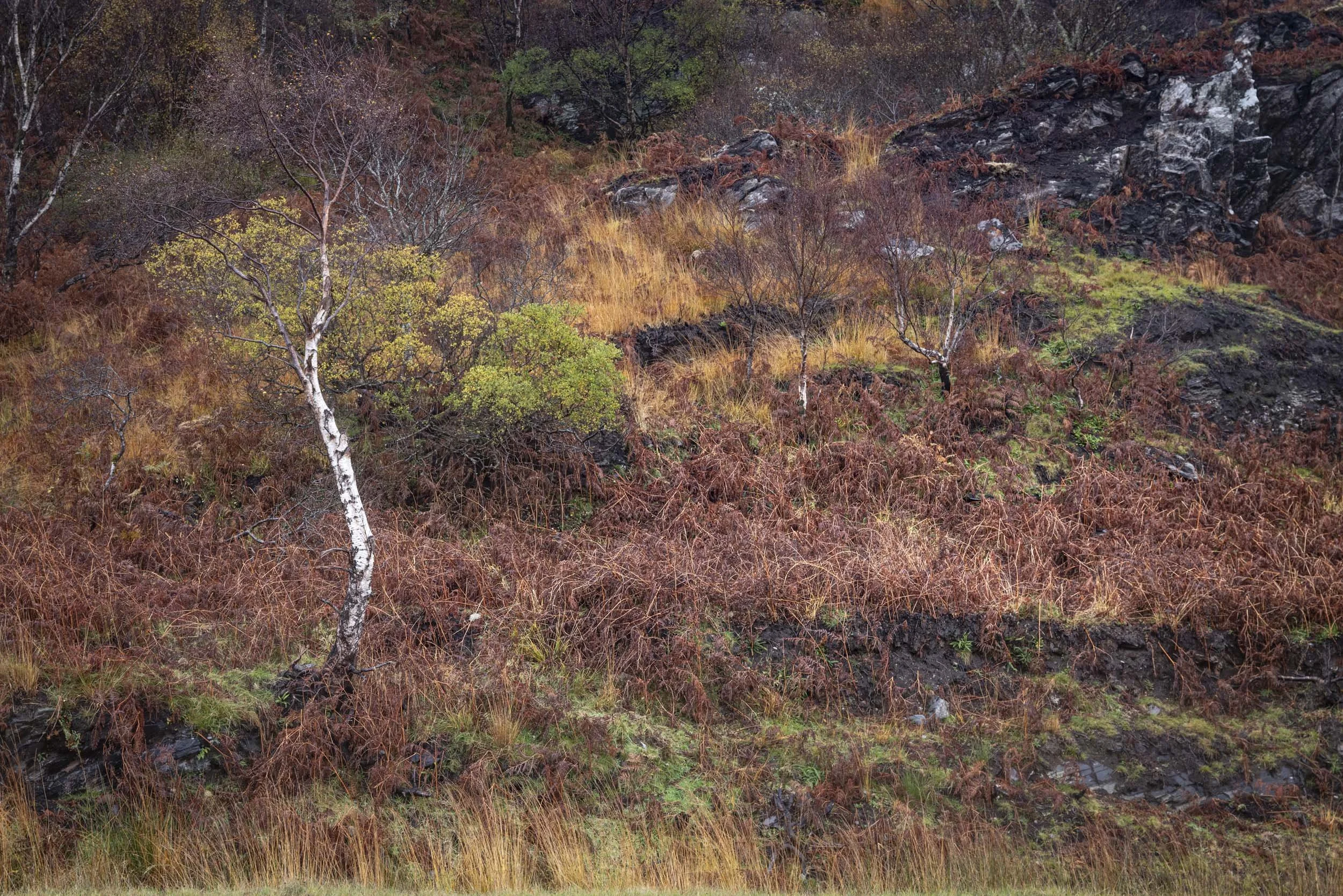 L1010577.jpg
