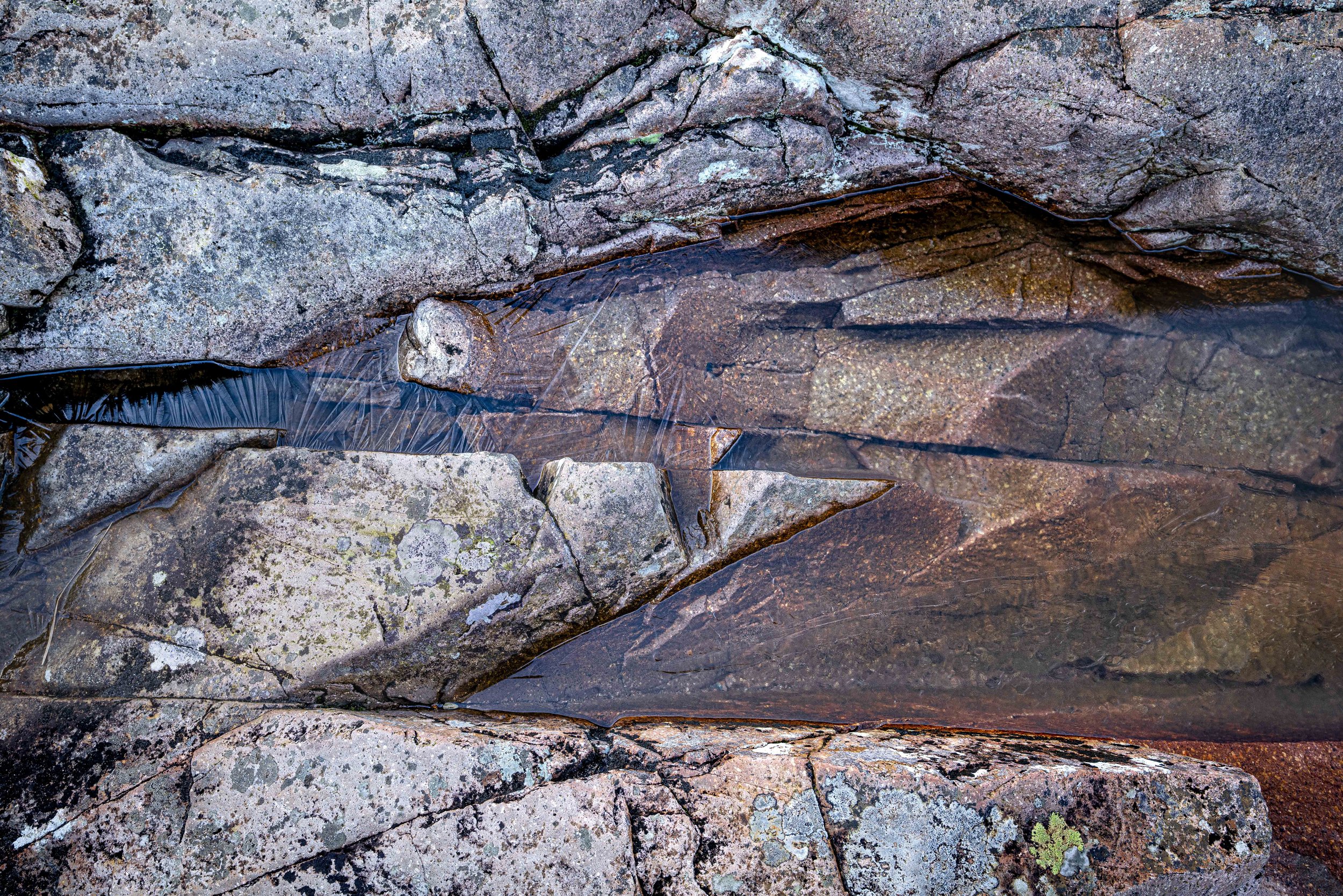 Winter VWH-1060095.jpg