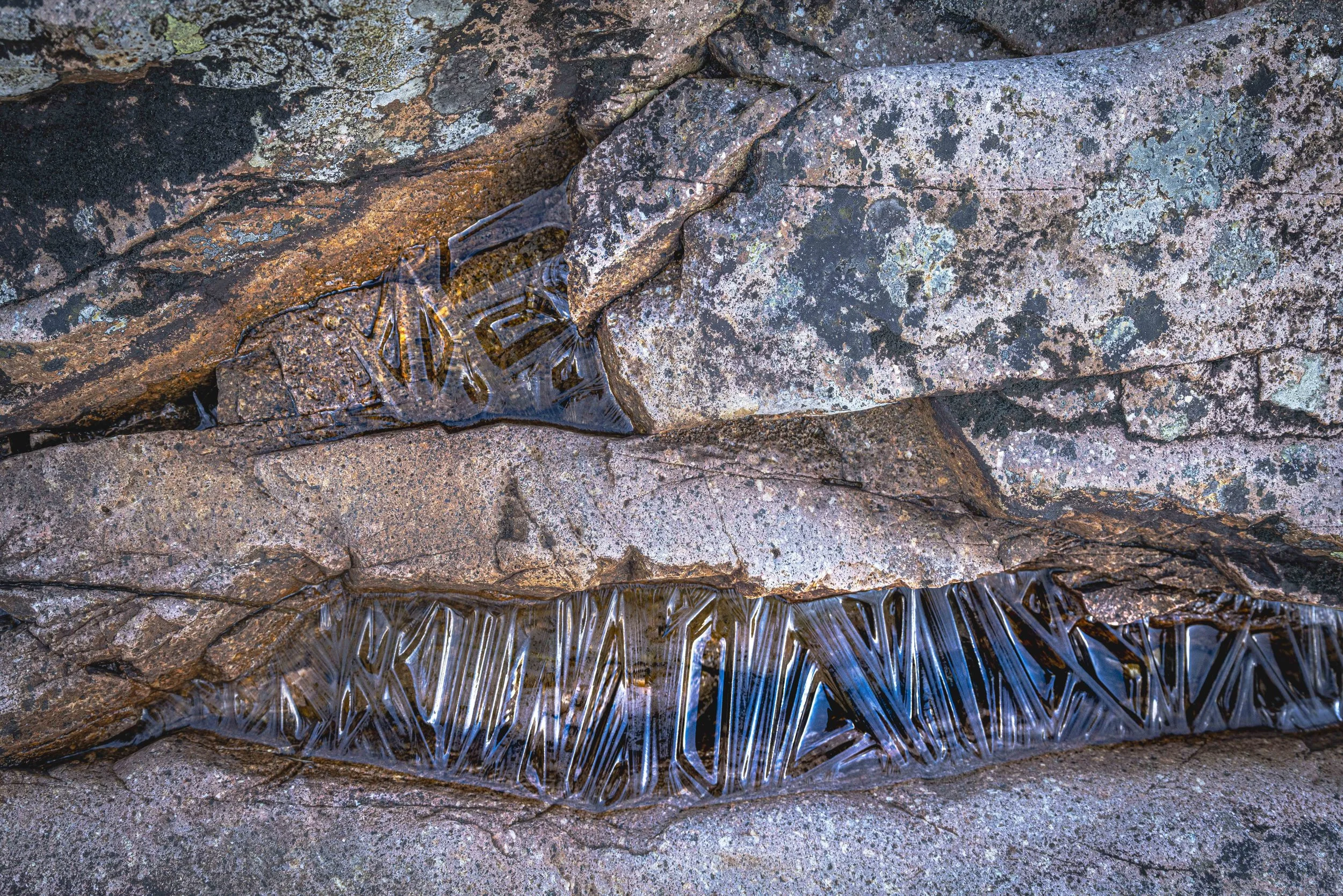 Winter VWH-1060025.jpg