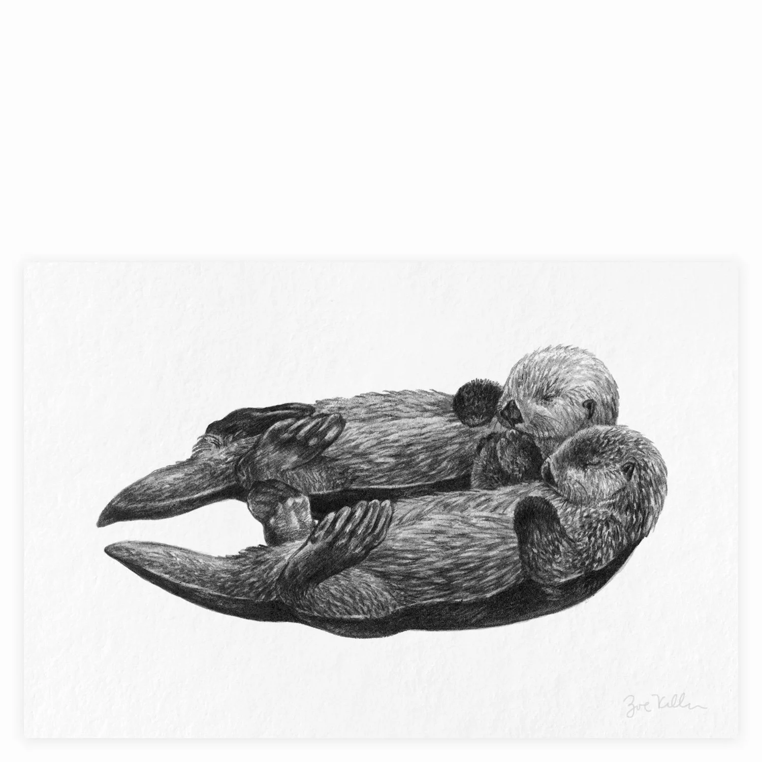 Otters Holding Paws - $15