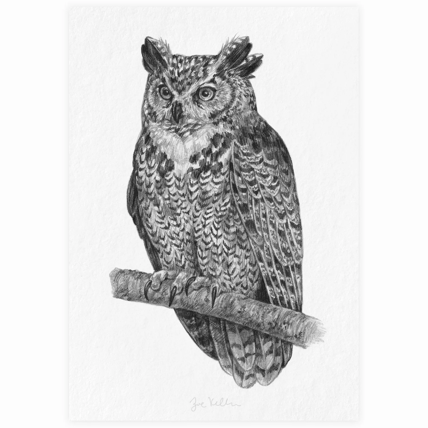 Great Horned Owl - $10