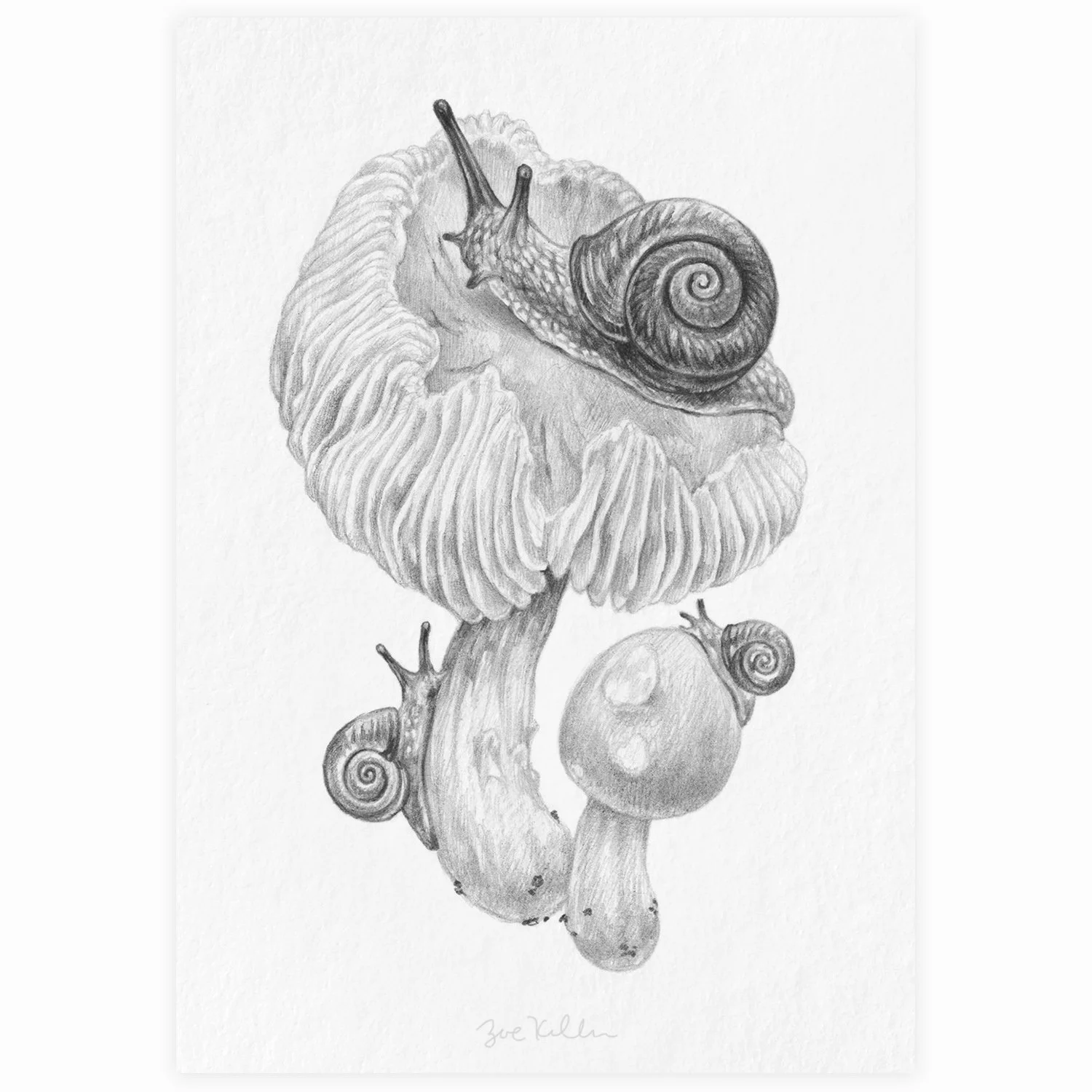 Blooming Mushroom and Snail - $10
