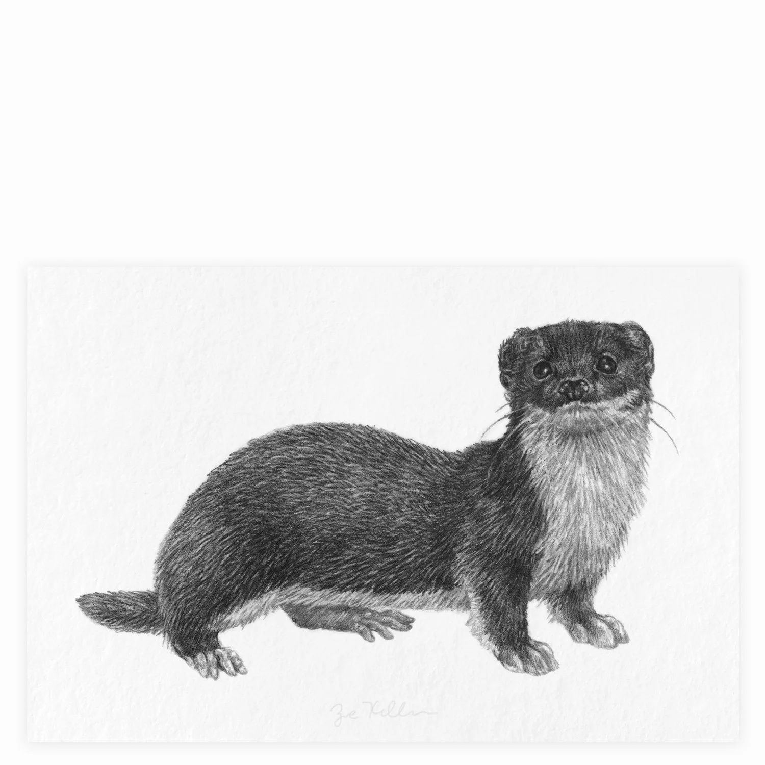 Least Weasel - $12
