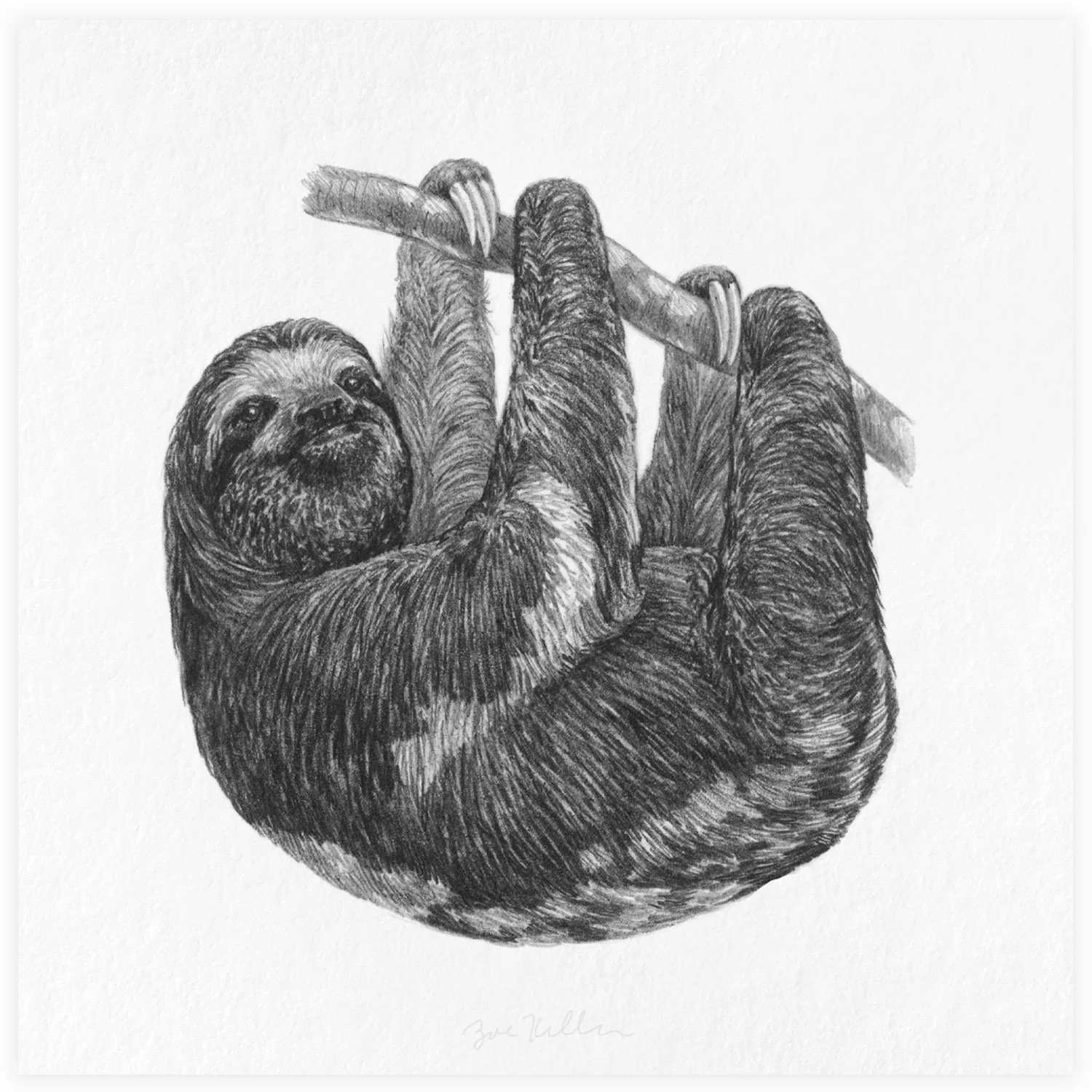 Sloth - $15