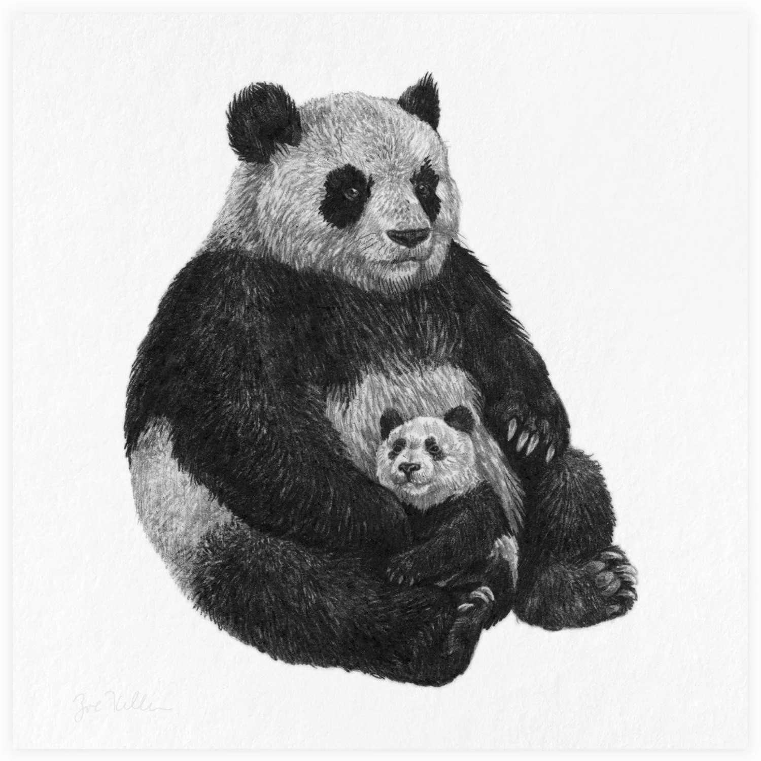 Pandas - $15