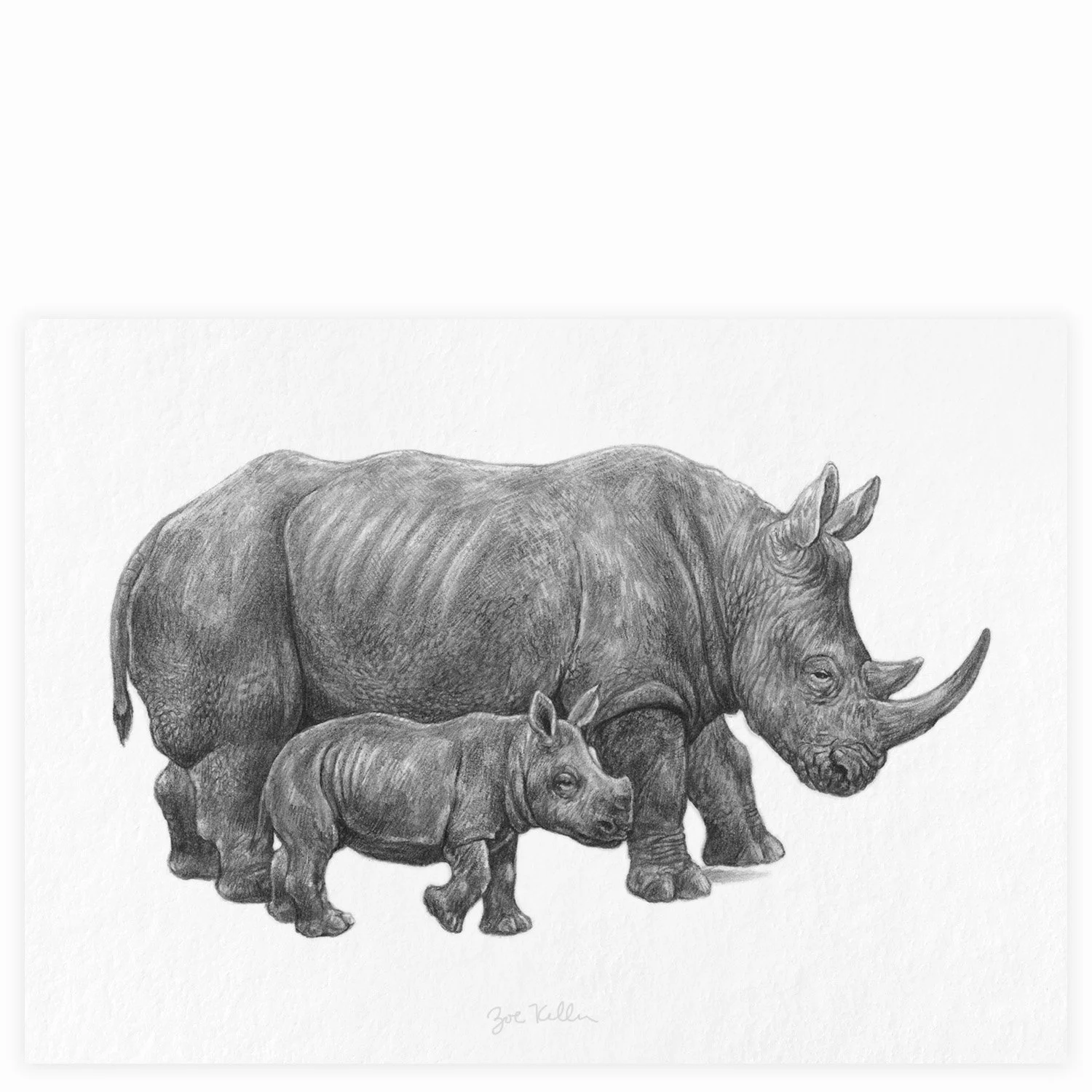 White Rhino - $15 