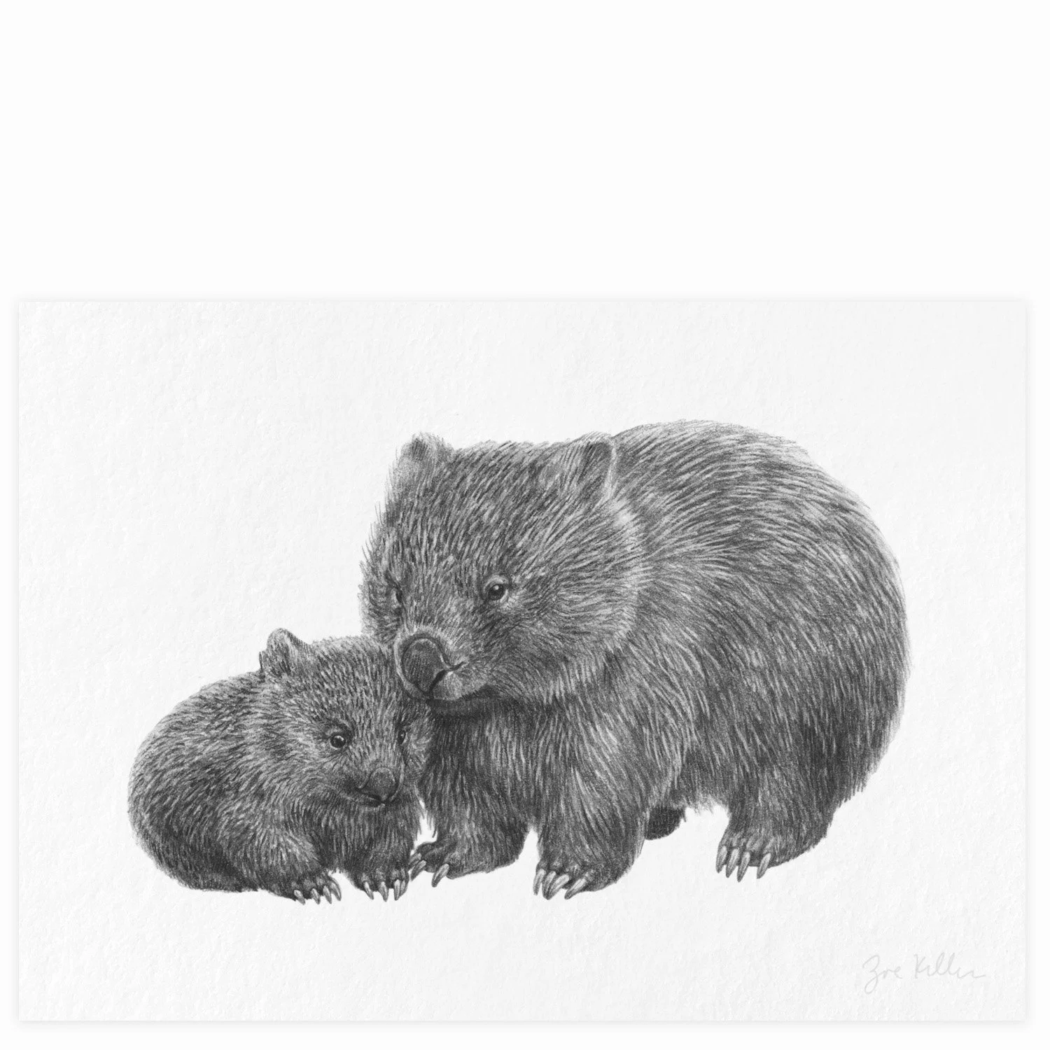 Wombat - $15 