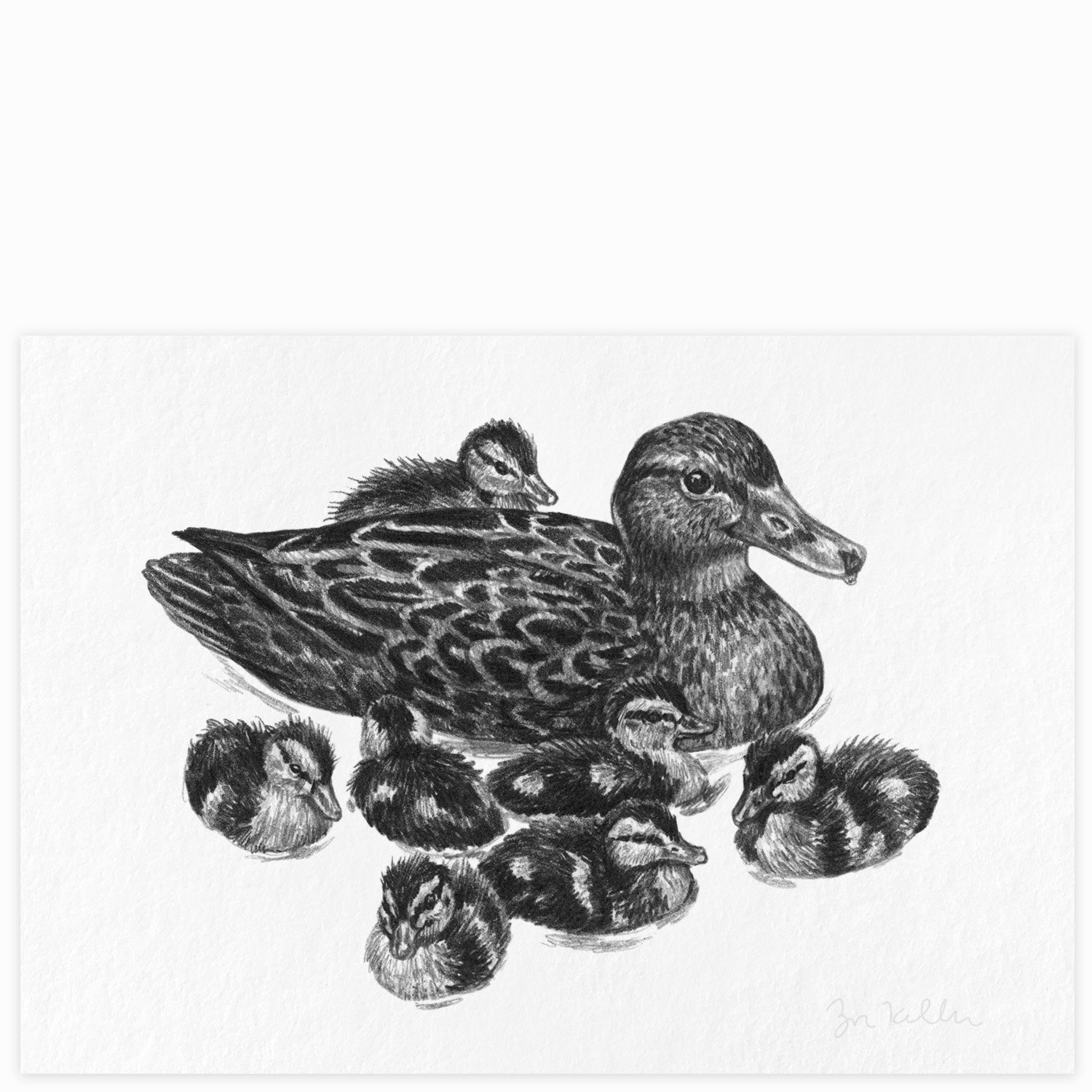 Mallard Duck Family - $10