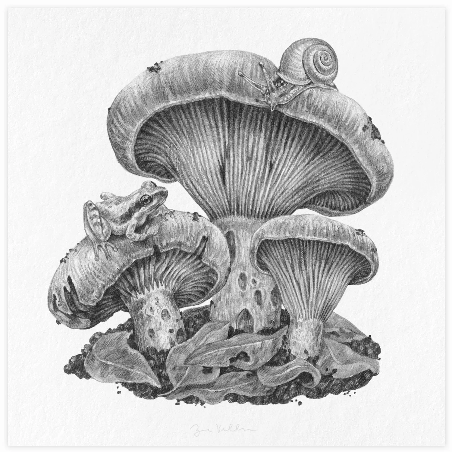 Snail, Frog and Mushrooms - $15 