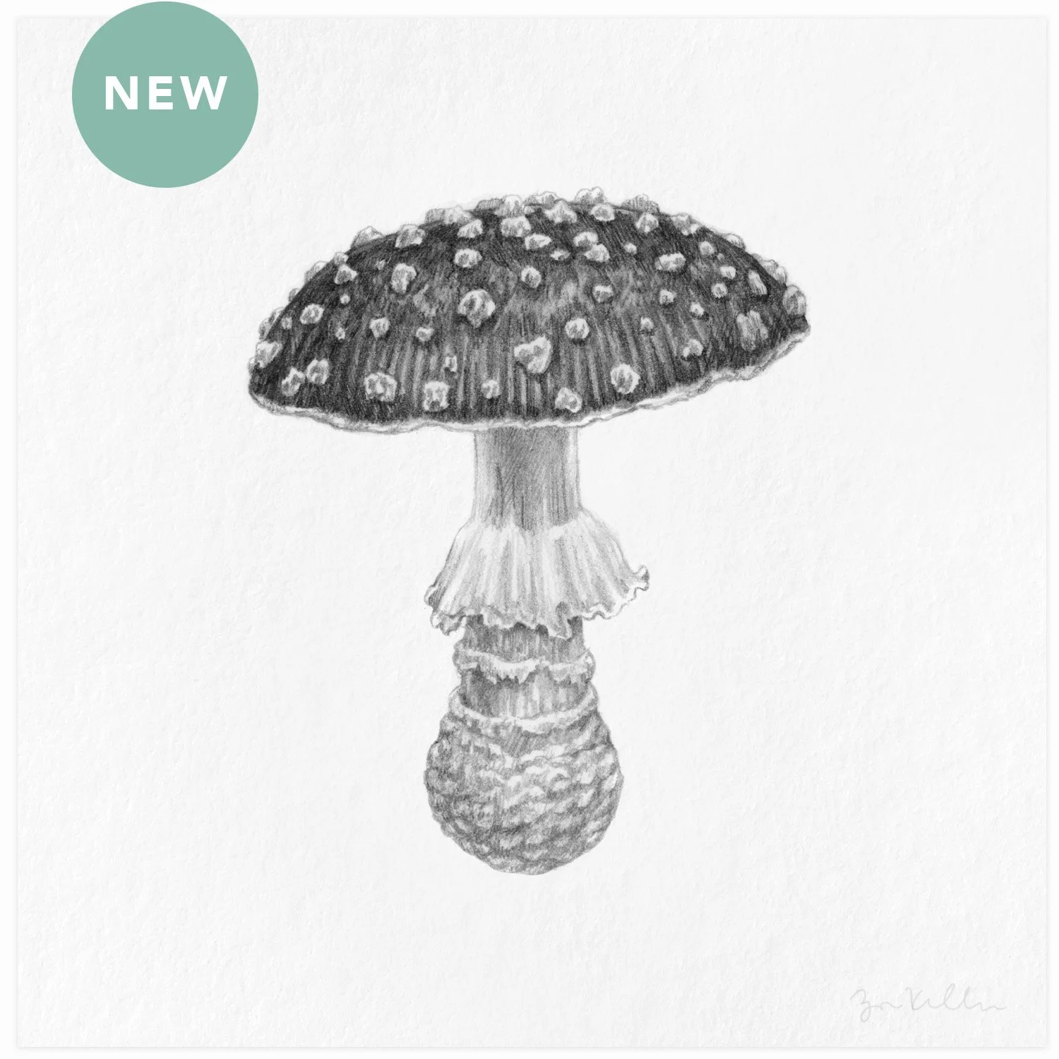 Fly Agaric - $15