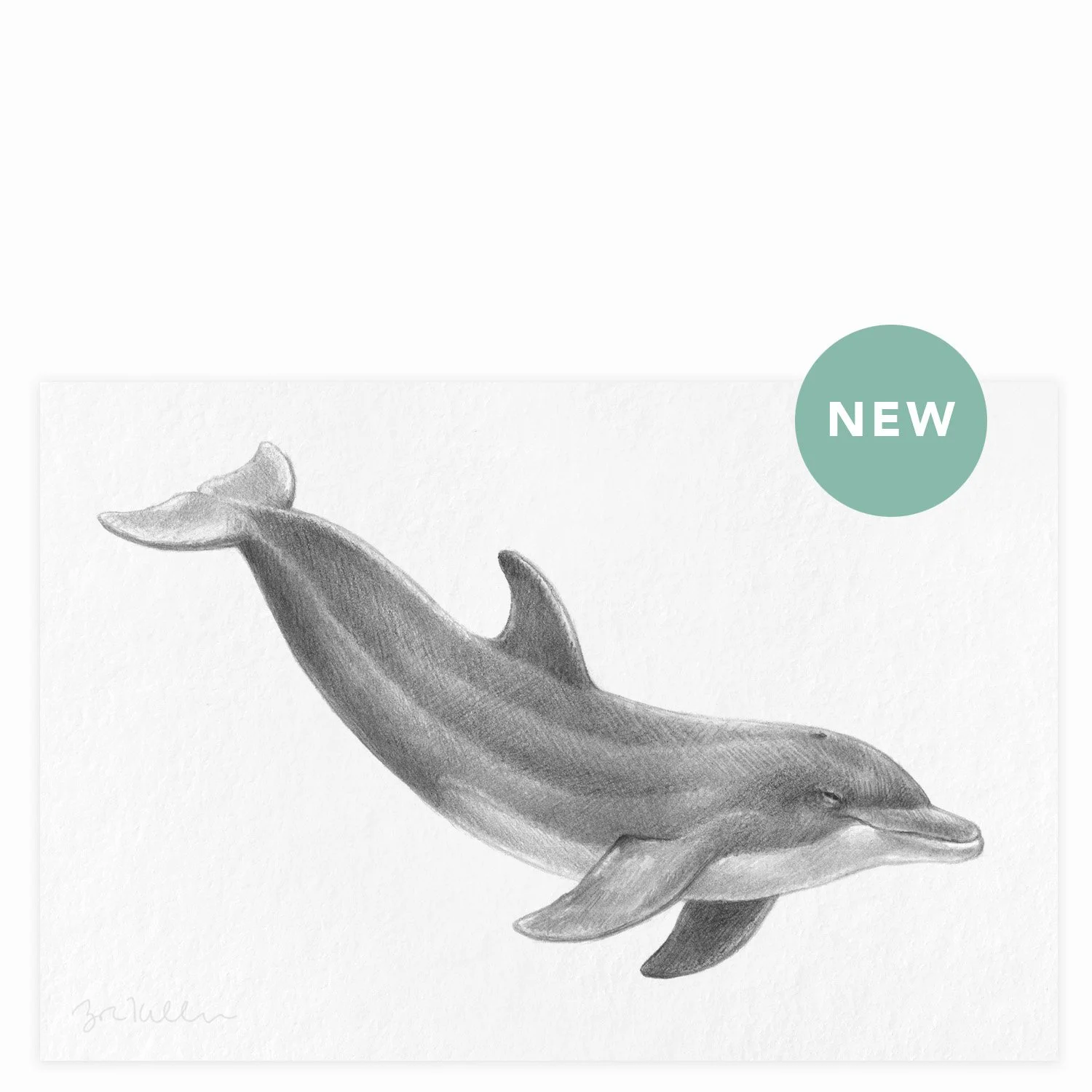 Common Bottlenose Dolphin - $12