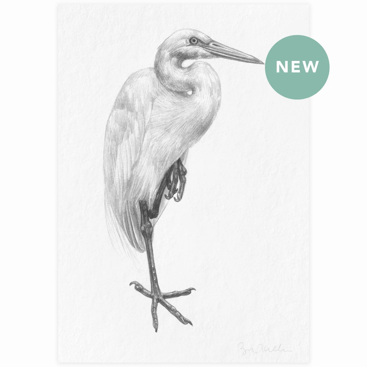 Great Egret - $10 