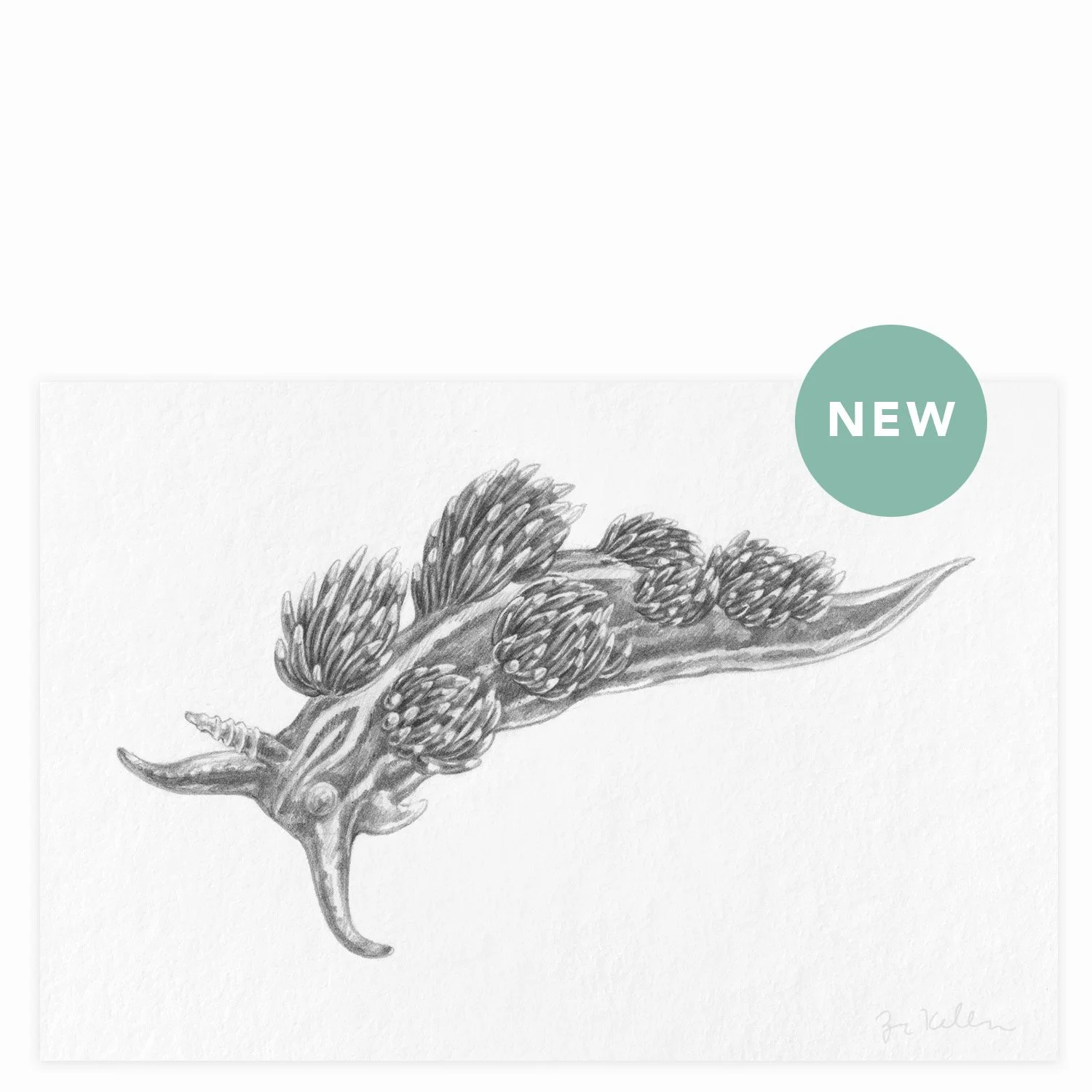 Opalescent Nudibranch - $12