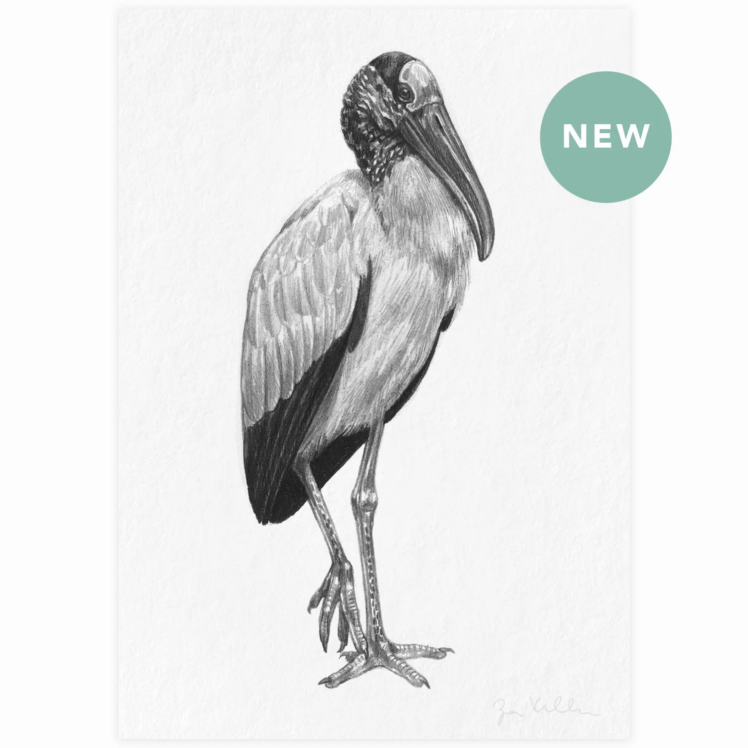 Wood Stork - $10 