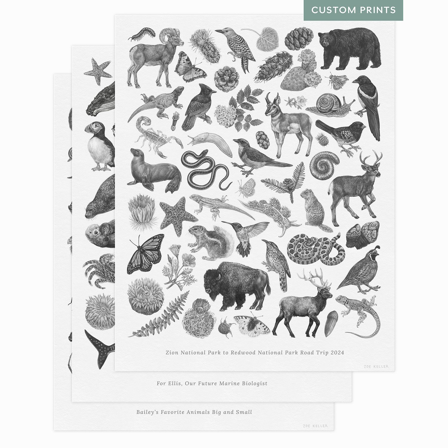 Mockup Print Images Fanned Out.jpg