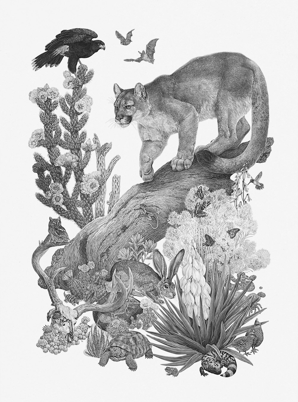 A large-scale privately commissioned original artwork of desert plants and animals.