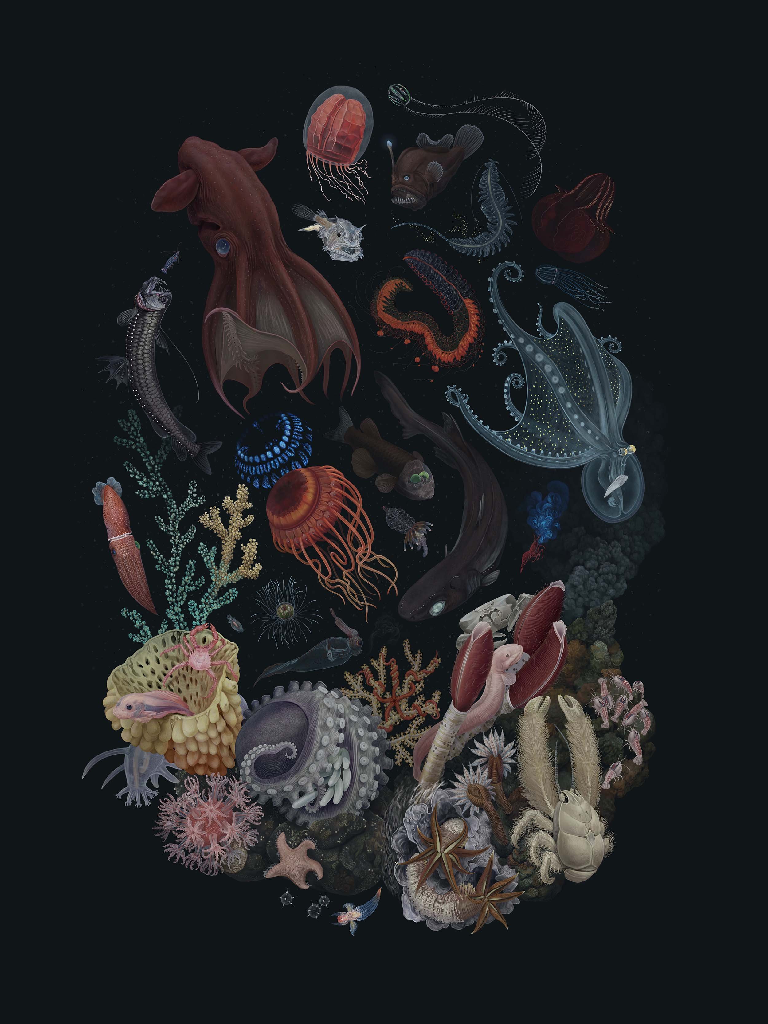 Marine Biodiversity — Zoe Keller Nature Art