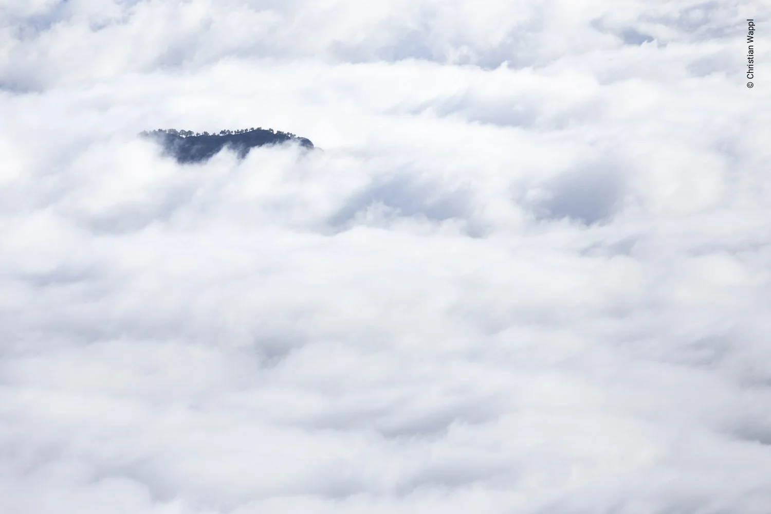 A mountain peak in a sea of clouds