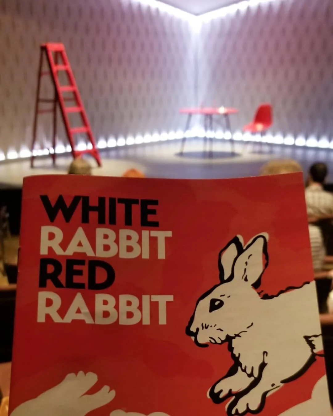 Back in a theatre!!! #whiterabbitredrabbit #buffalotheatre