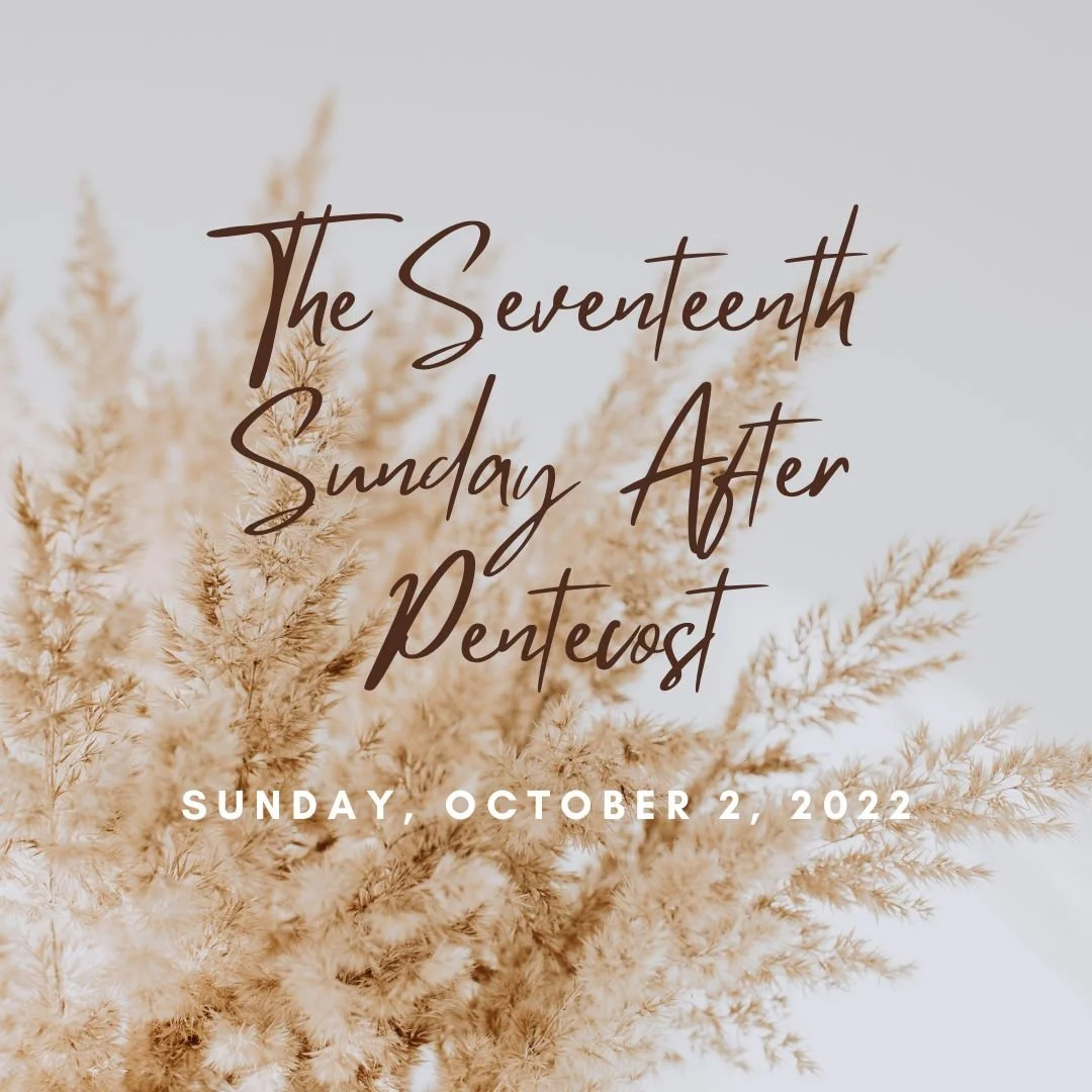 The Seventeenth Sunday After Pentecost