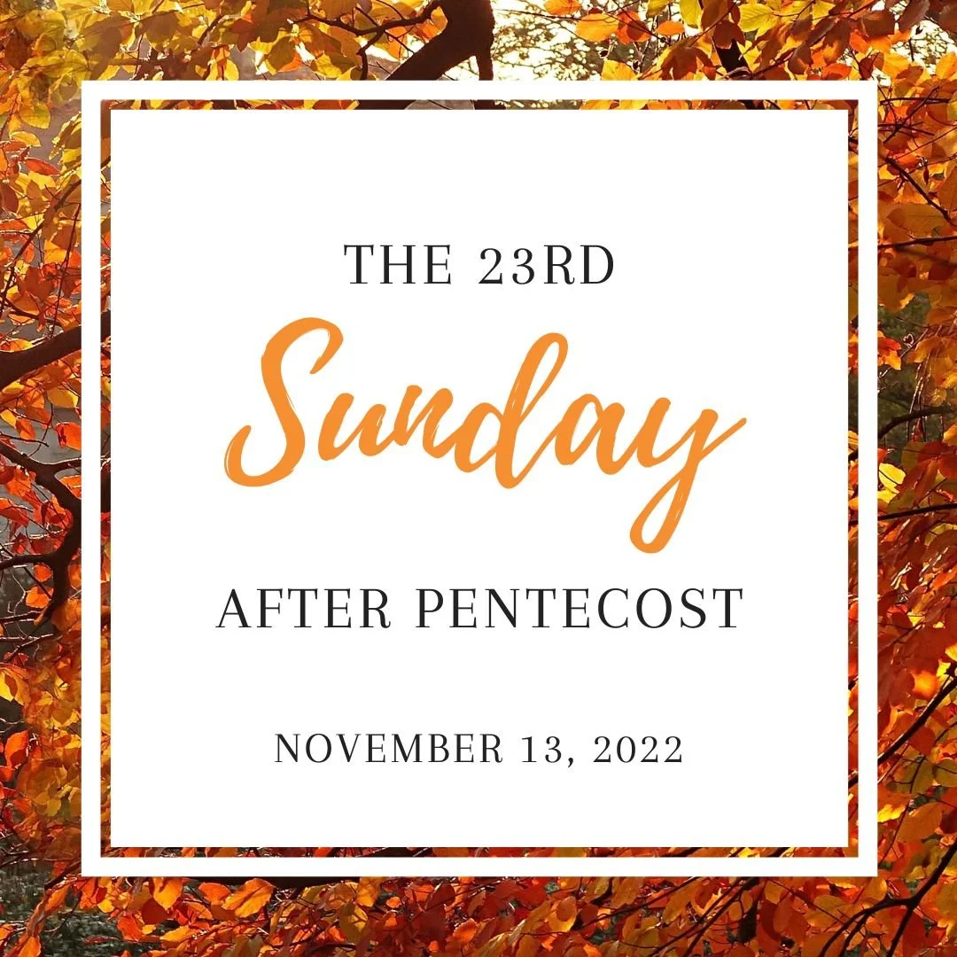 The Twenty Third Sunday After Pentecost