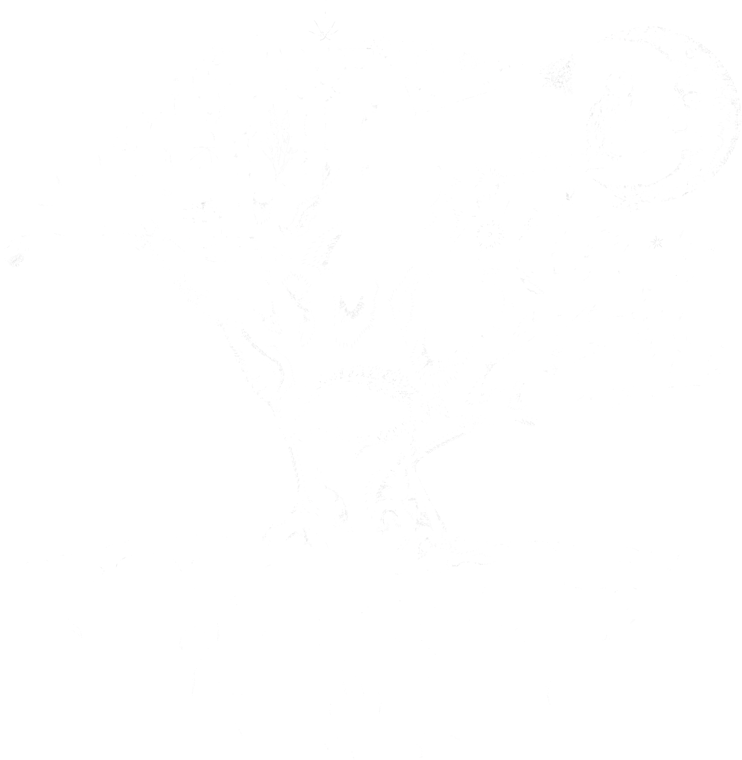 Mother Tree