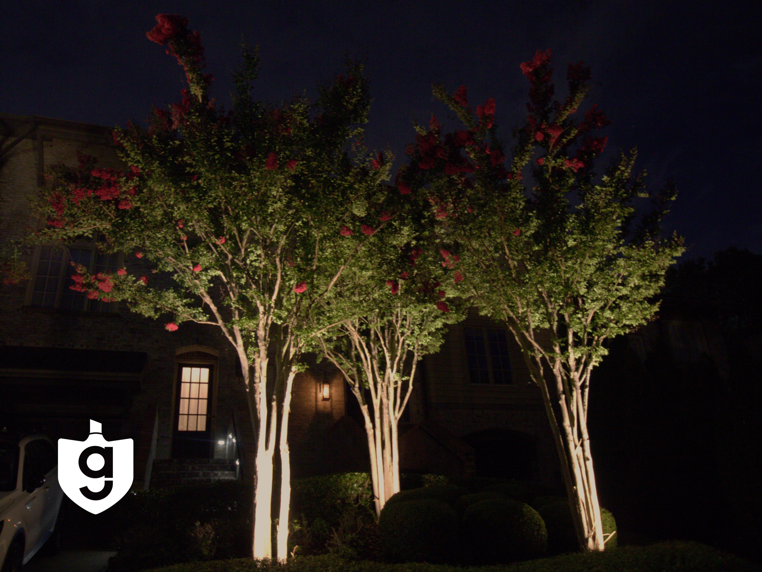 Website Photos176.png