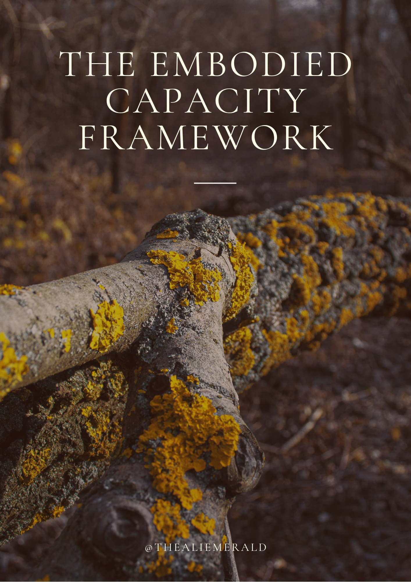 Embodied Capacity Framework
