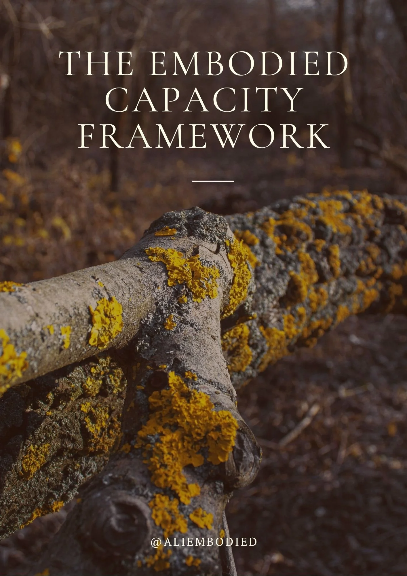 Embodied Capacity Framework