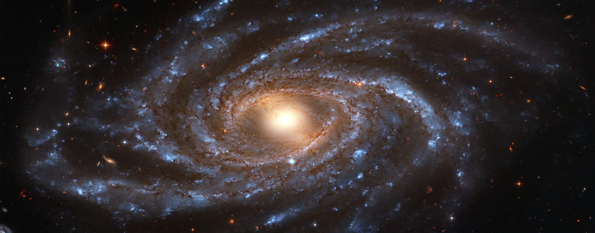 Smuggler's Guide to the Pocket Dimension — Pocket Dimension Studios