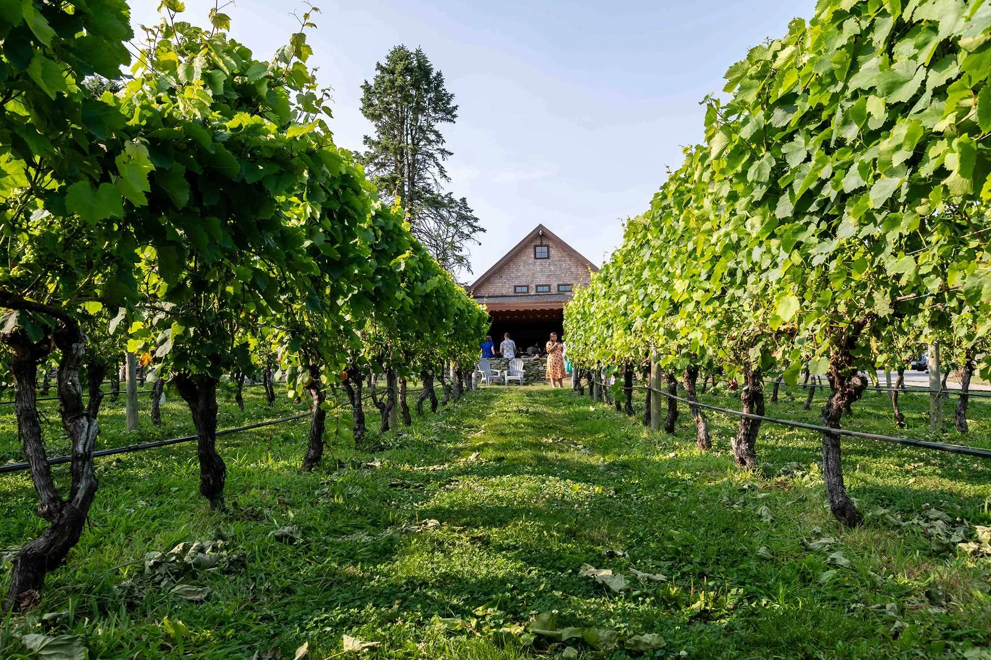 Sweetheart Market at Newport Vineyards