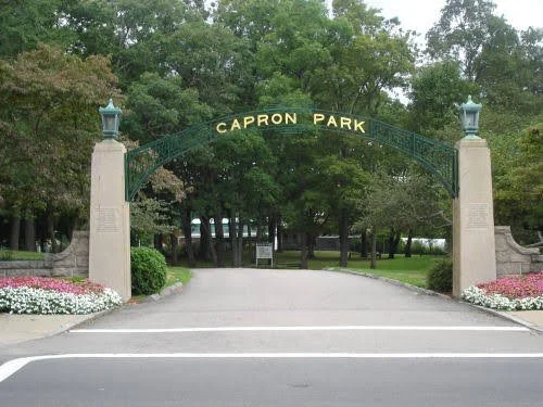 Food Truck Picnic in the Park
