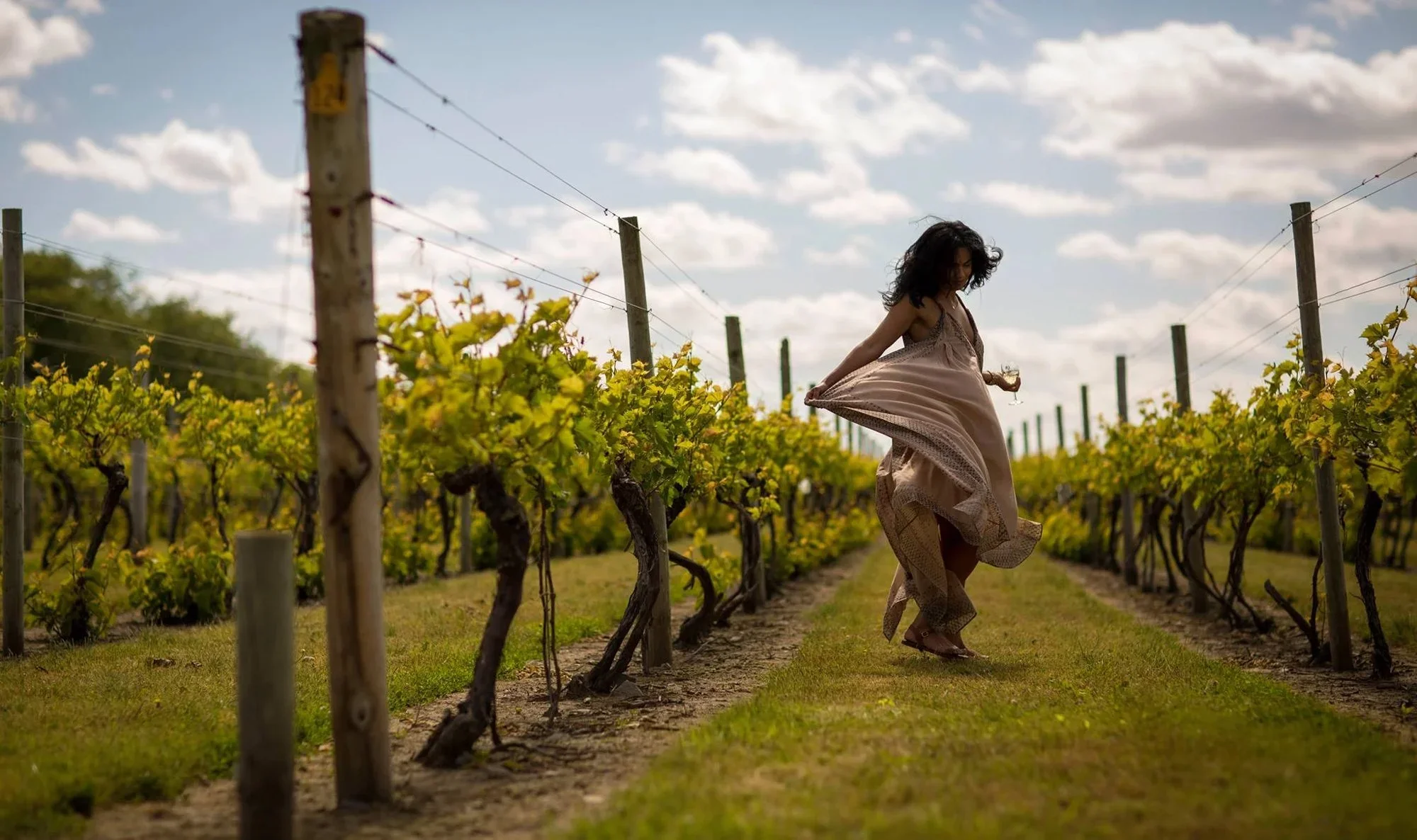 Harvest Fest at Sakonnet Vineyards