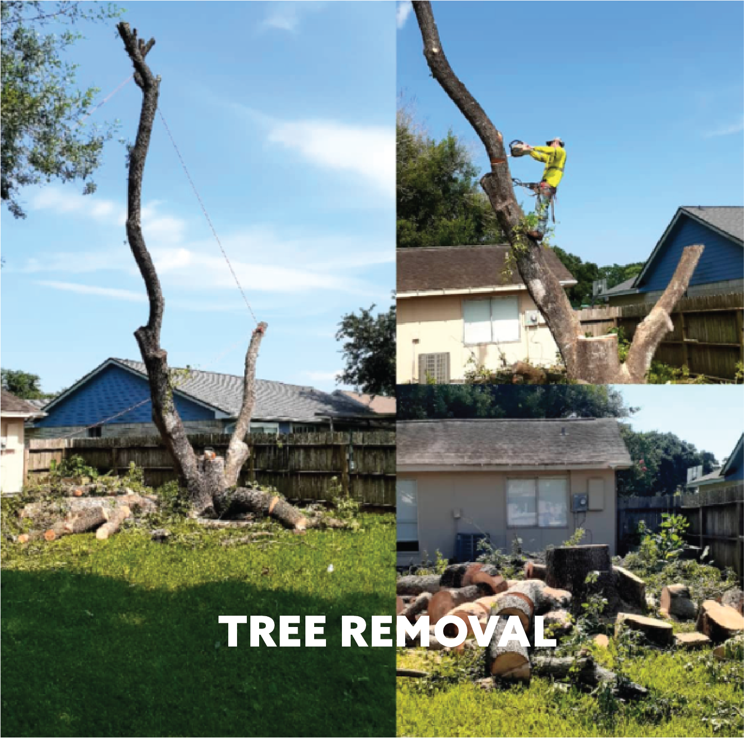 EXPERT_PLUS_TREE_REMOVAL_5Asset 7100.png