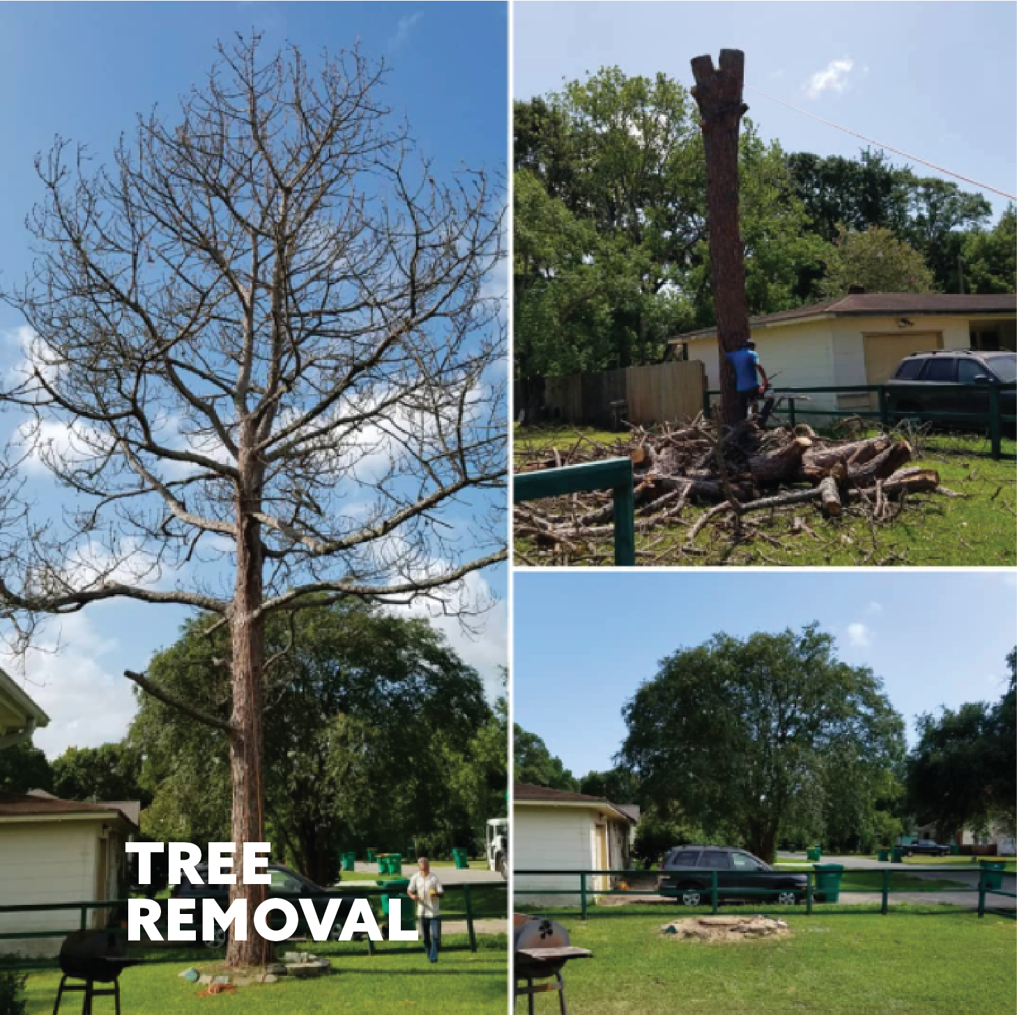 EXPERT_PLUS_TREE_REMOVAL_1Asset 4100.png