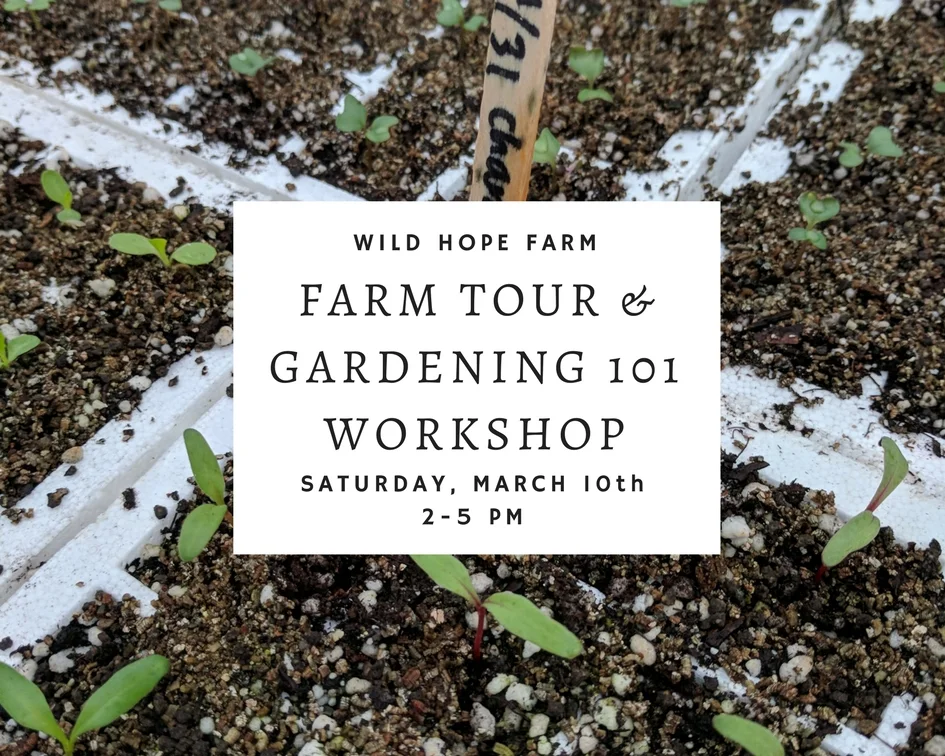 Spring Gardening 101 (3).jpg
