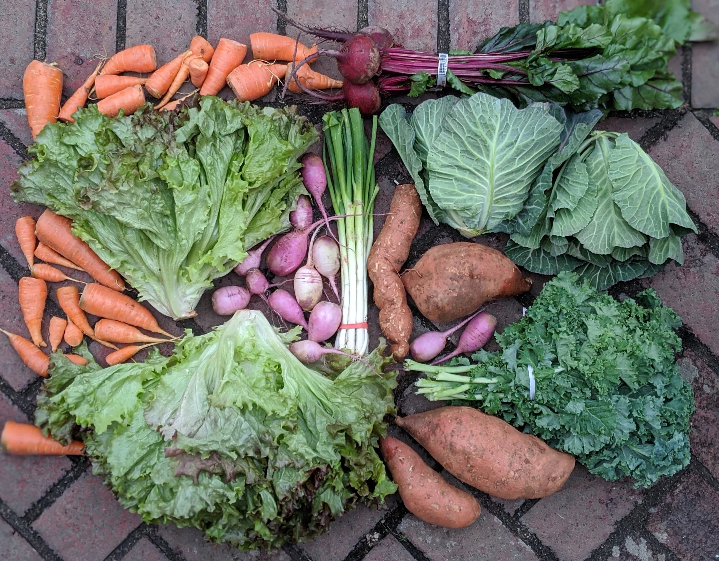 2026 Winter SMALL Share ($30/week): Jan6th - March 10th