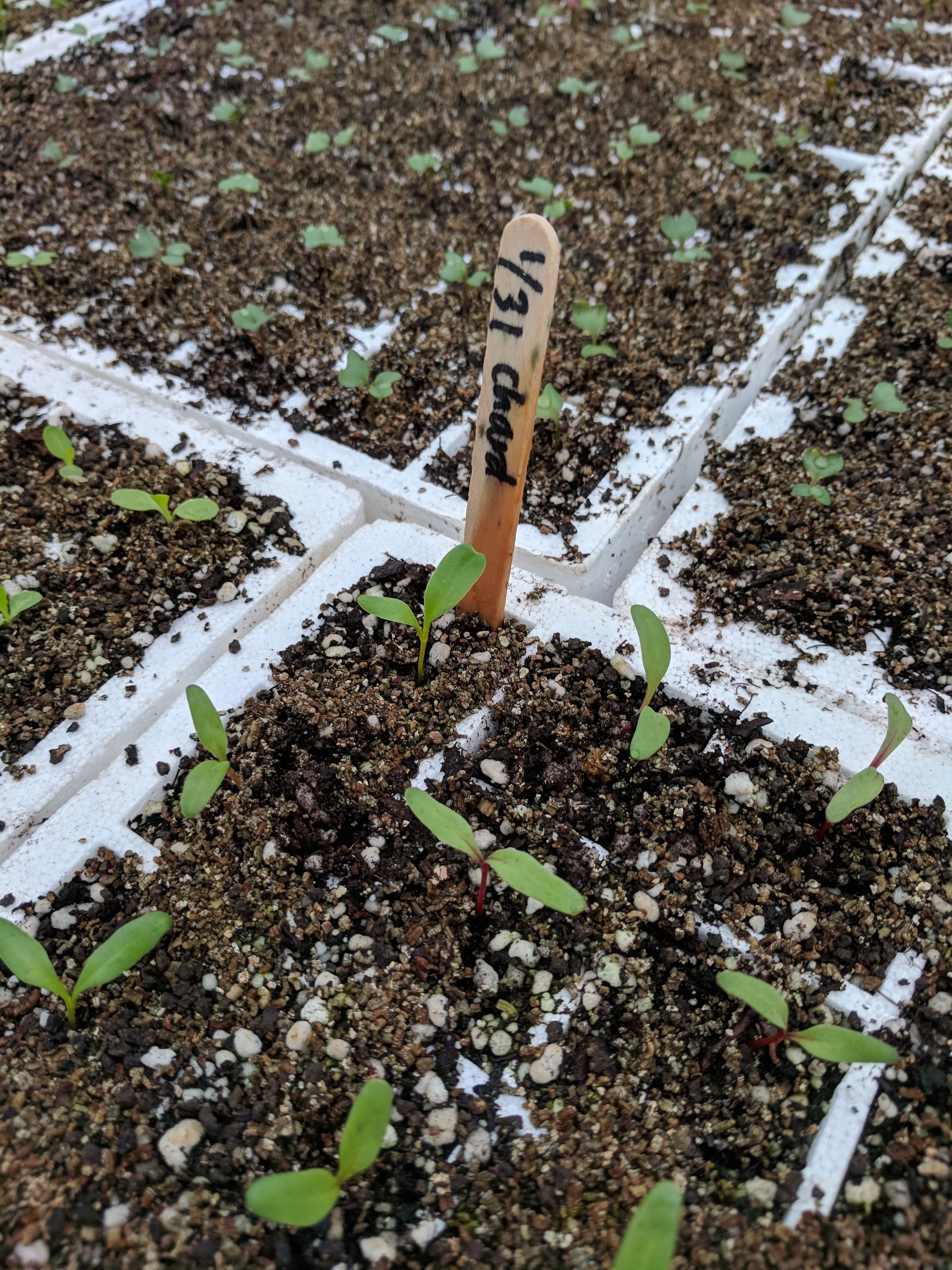 Farm Tour &amp; Gardening 101