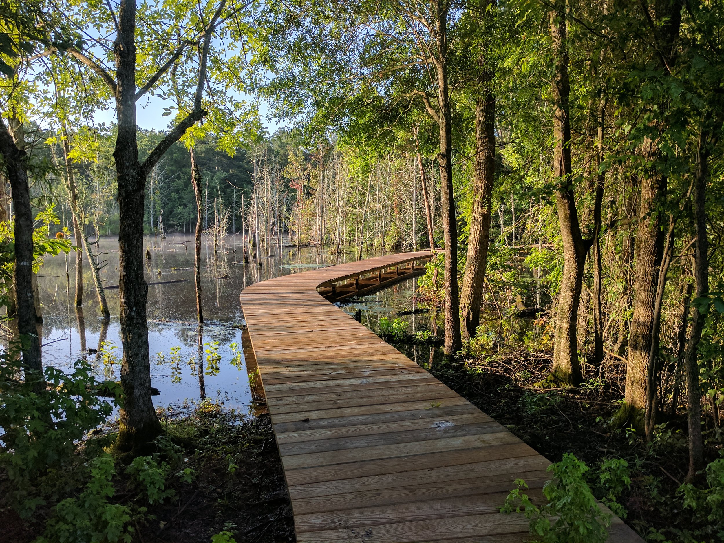Guided Birding Walk