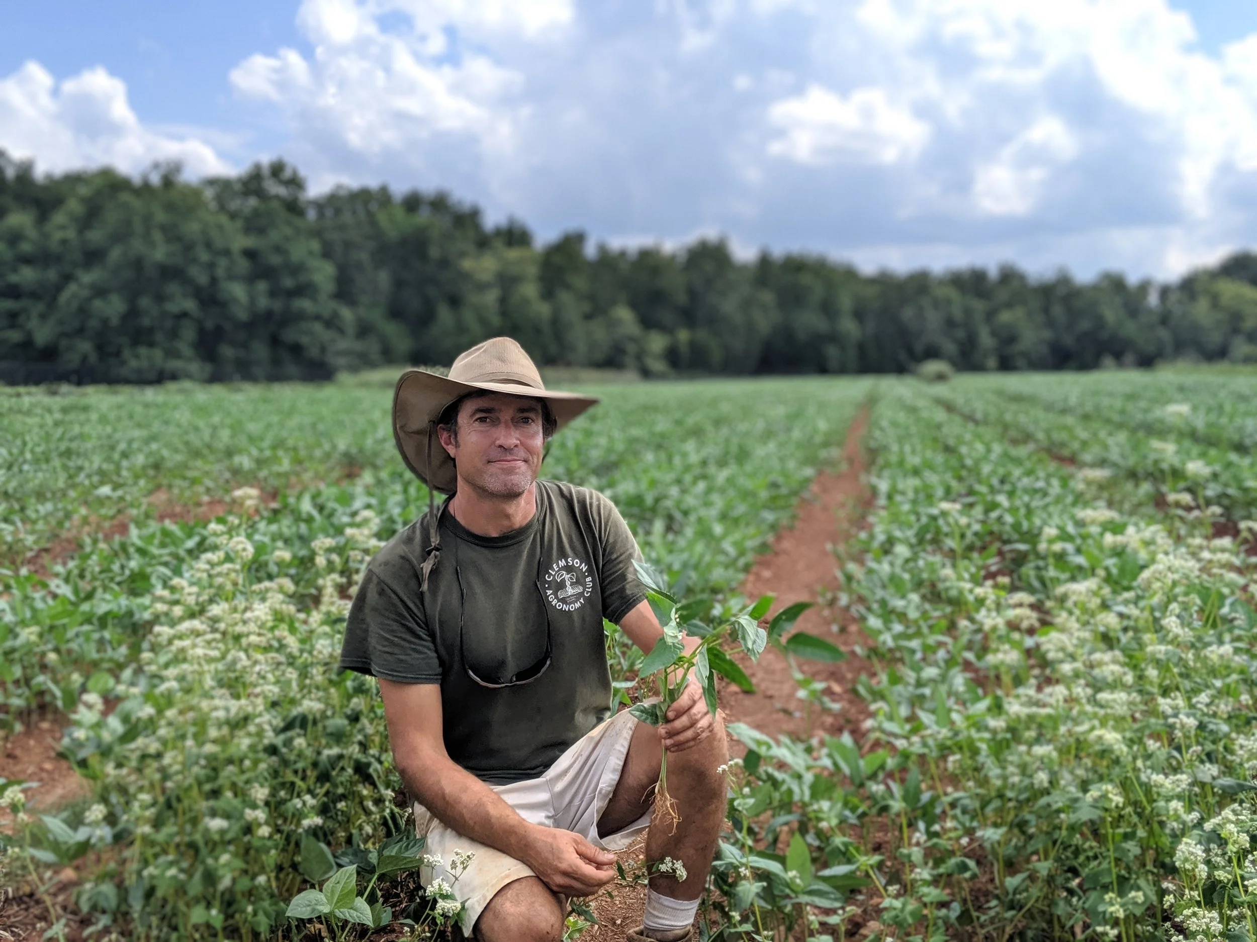 No-Till and Cover Cropping: Techniques to Save Time &amp; Increase Soil Health