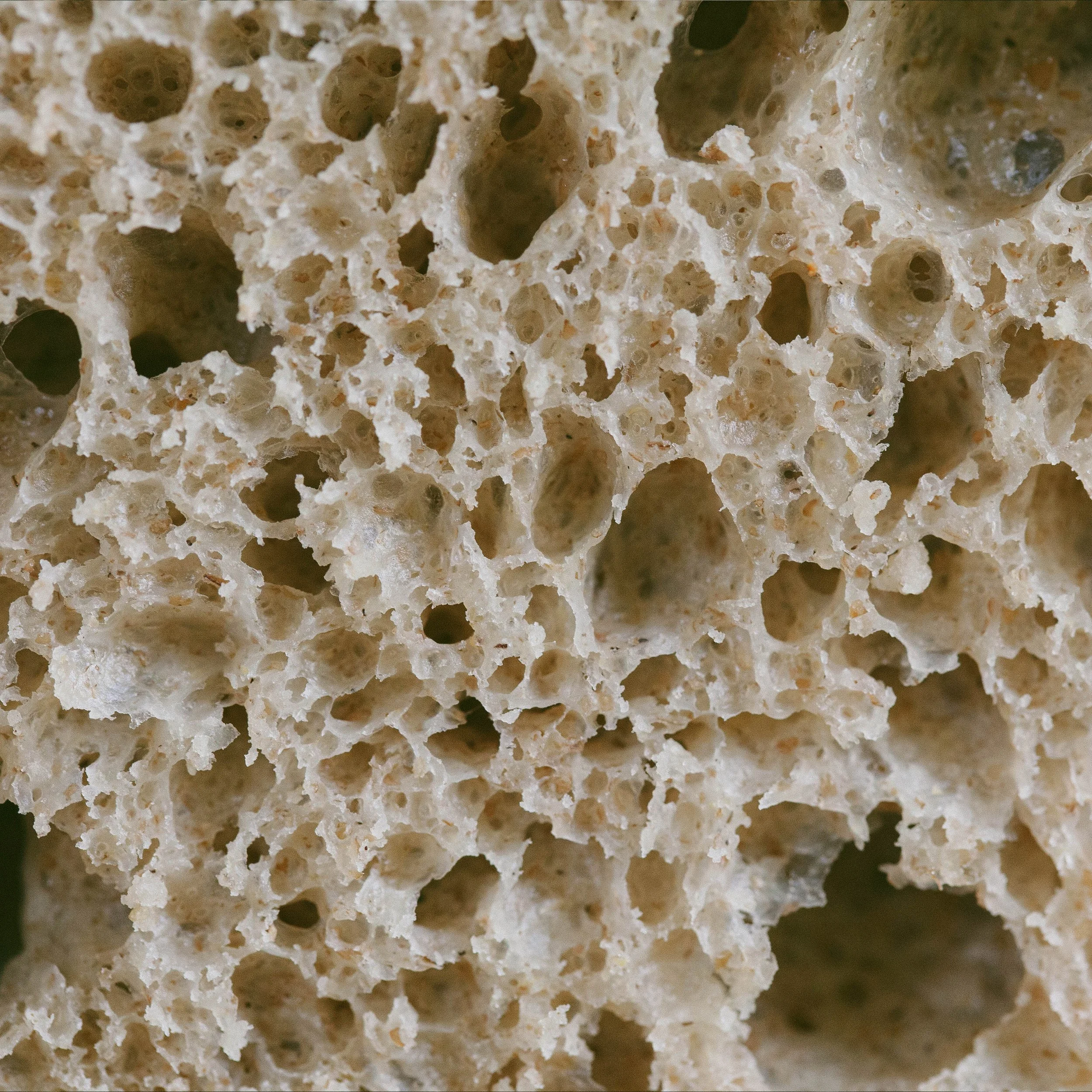 detail.jpg