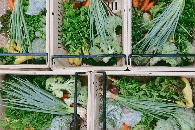 Organic Farming Food Safety Sanitized Bin Delivery